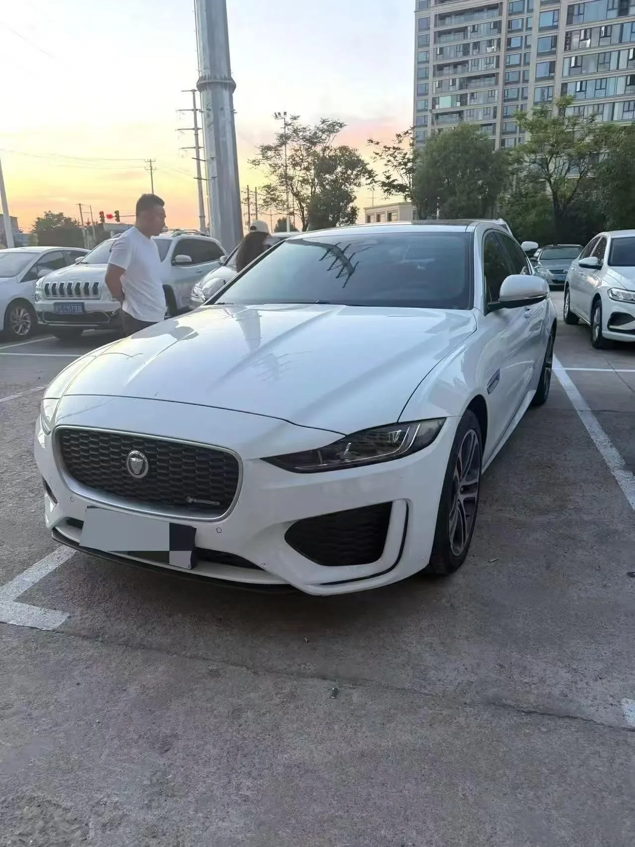 2023 Jaguar XEL 2.0T 250PS R-DYNAMIC S Progressive Sport Edition