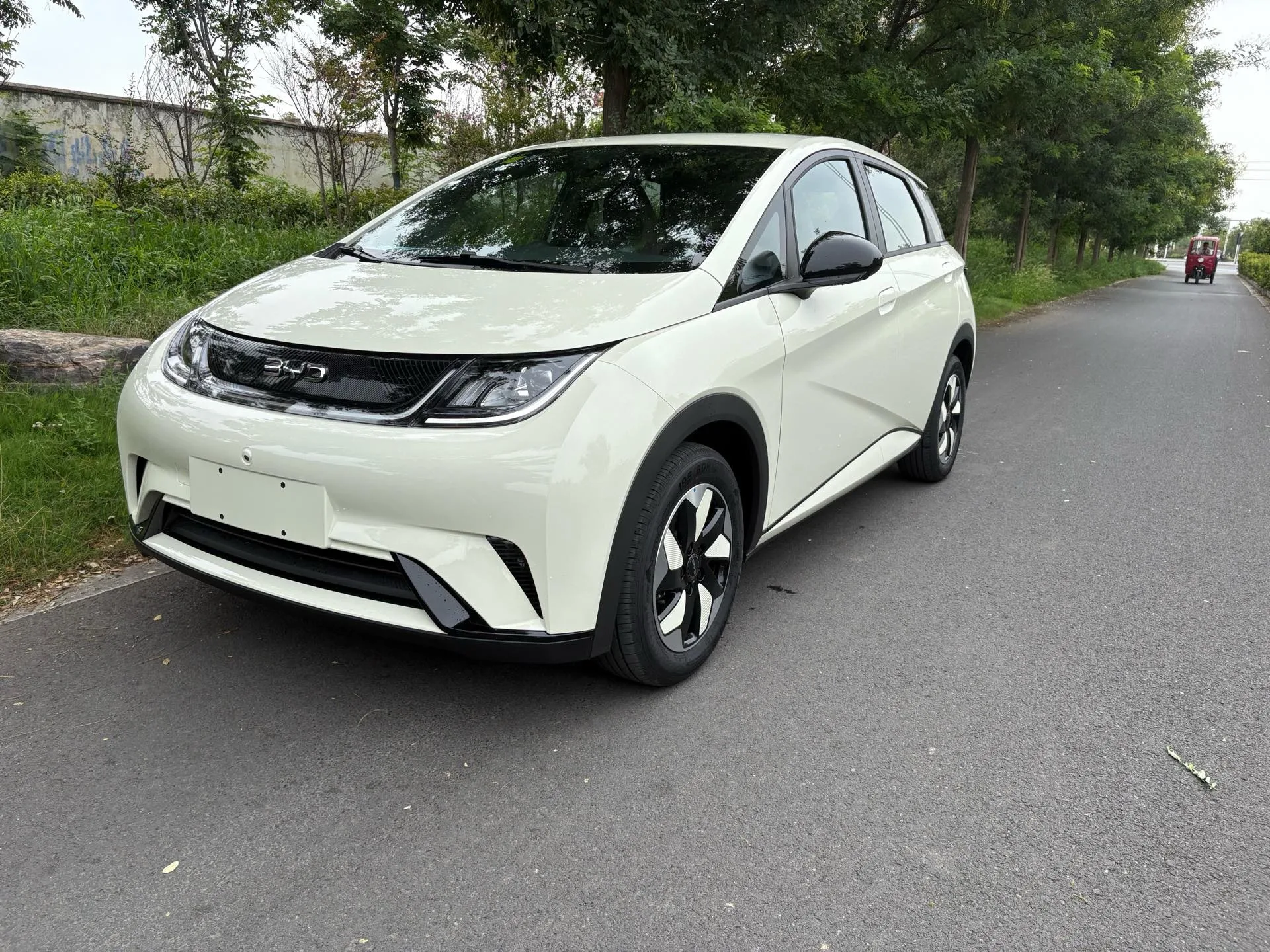 BYD 2025 Dolphin 420km Freedom Edition Automatic