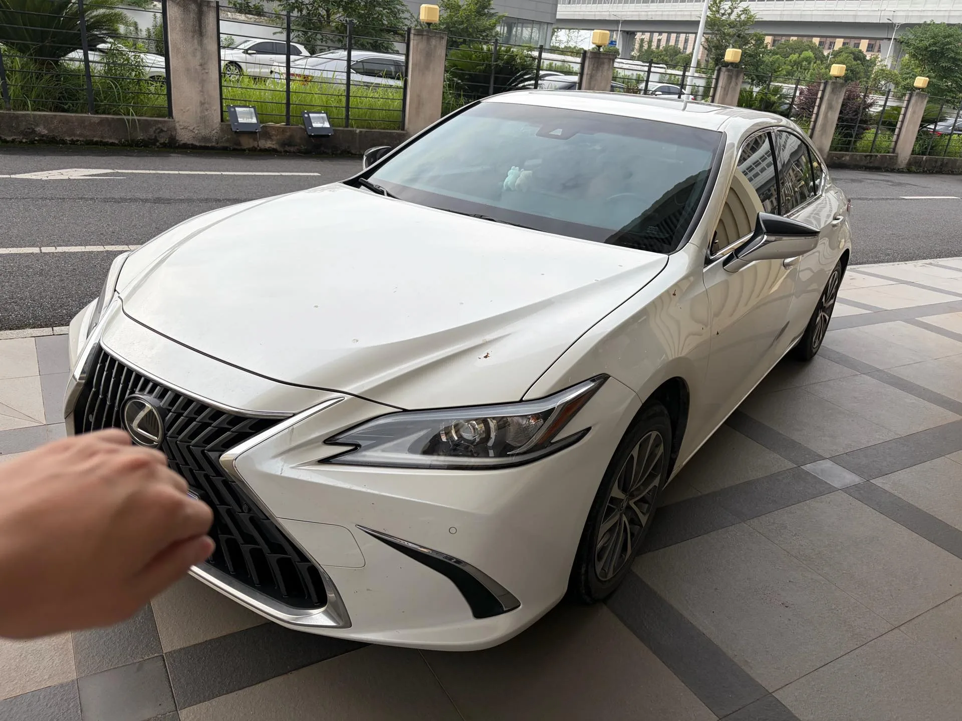 Lexus ES 2022 200 Premium Edition