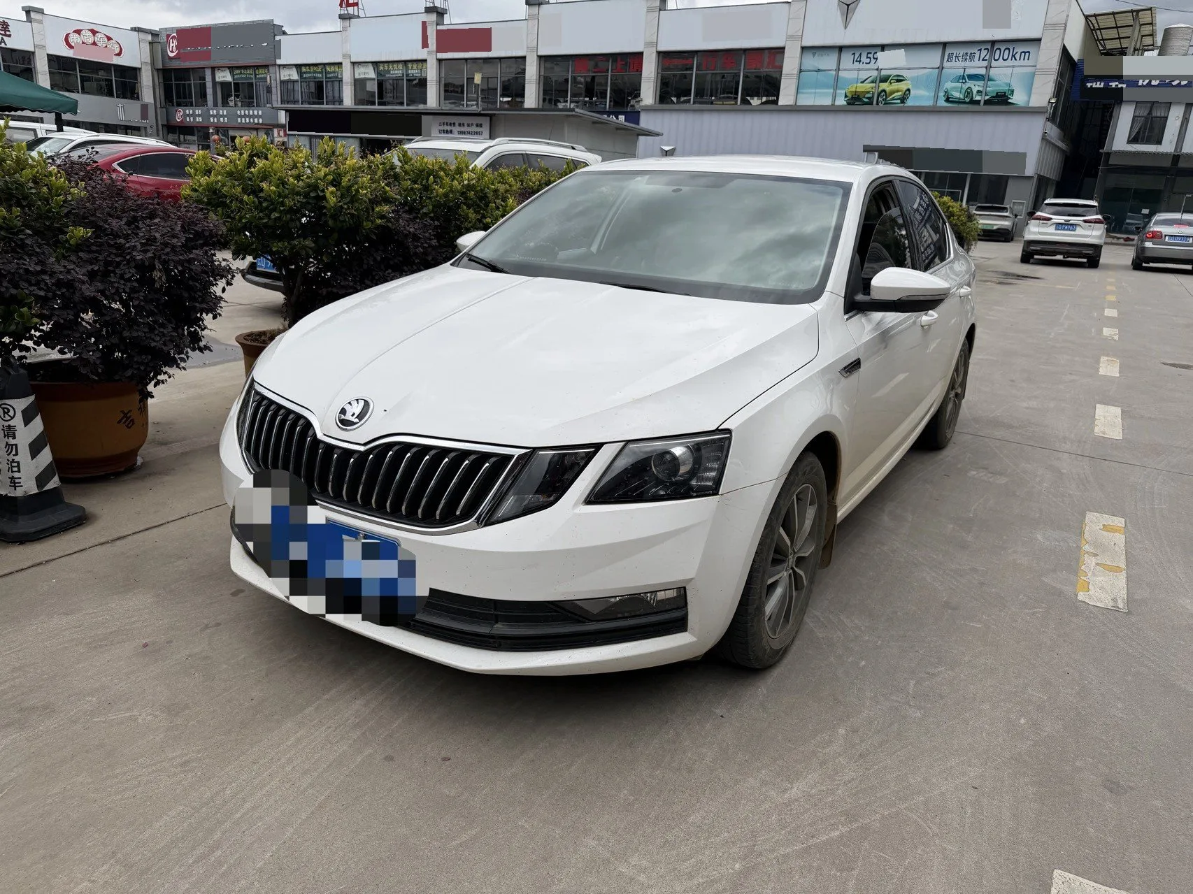 Octavia 2020 TSI230 DSG Smart Luxury Edition