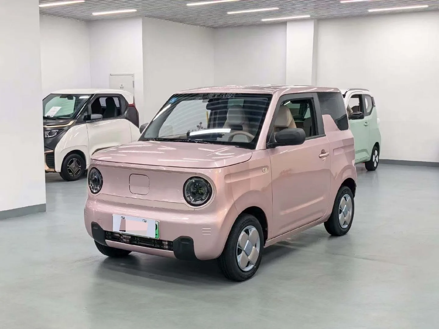Panda 2023 Panda Mini 200km Endurance Bear
