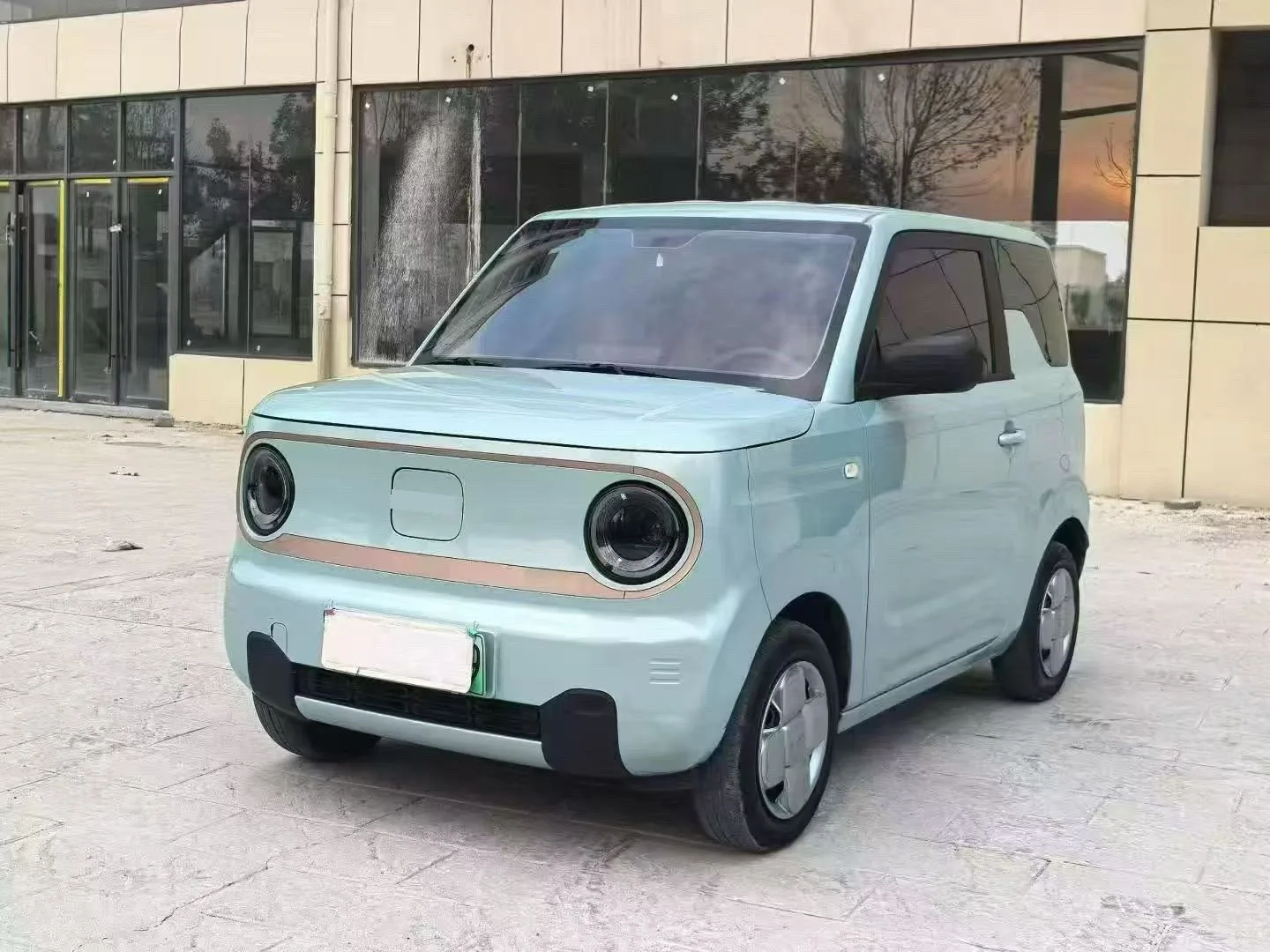 Panda 2023 Panda Mini 200km Endurance Bear