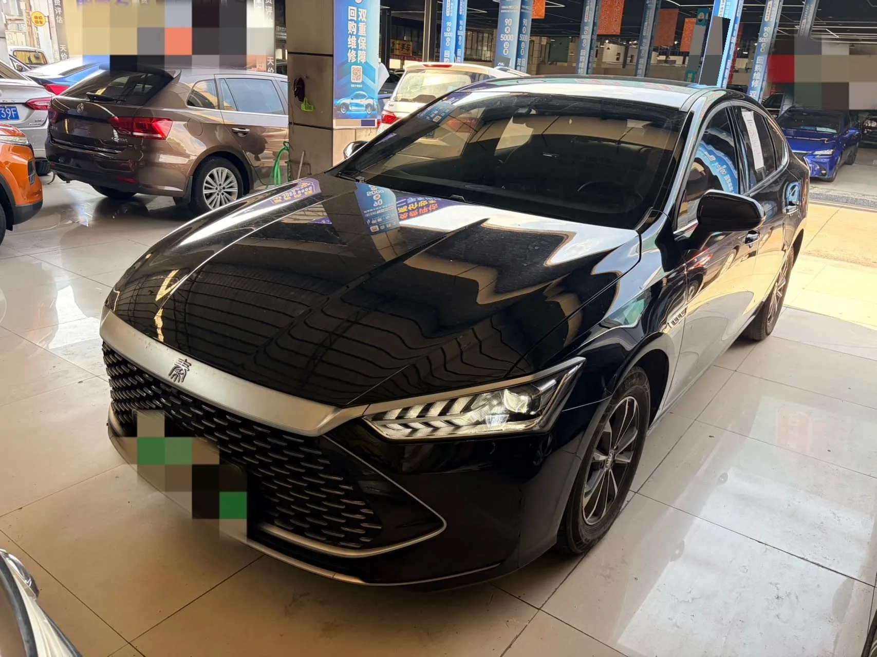 BYD 2024 Qin PLUS DM-i 1.5 CVT Glory Edition 55KM Leading Model Automatic