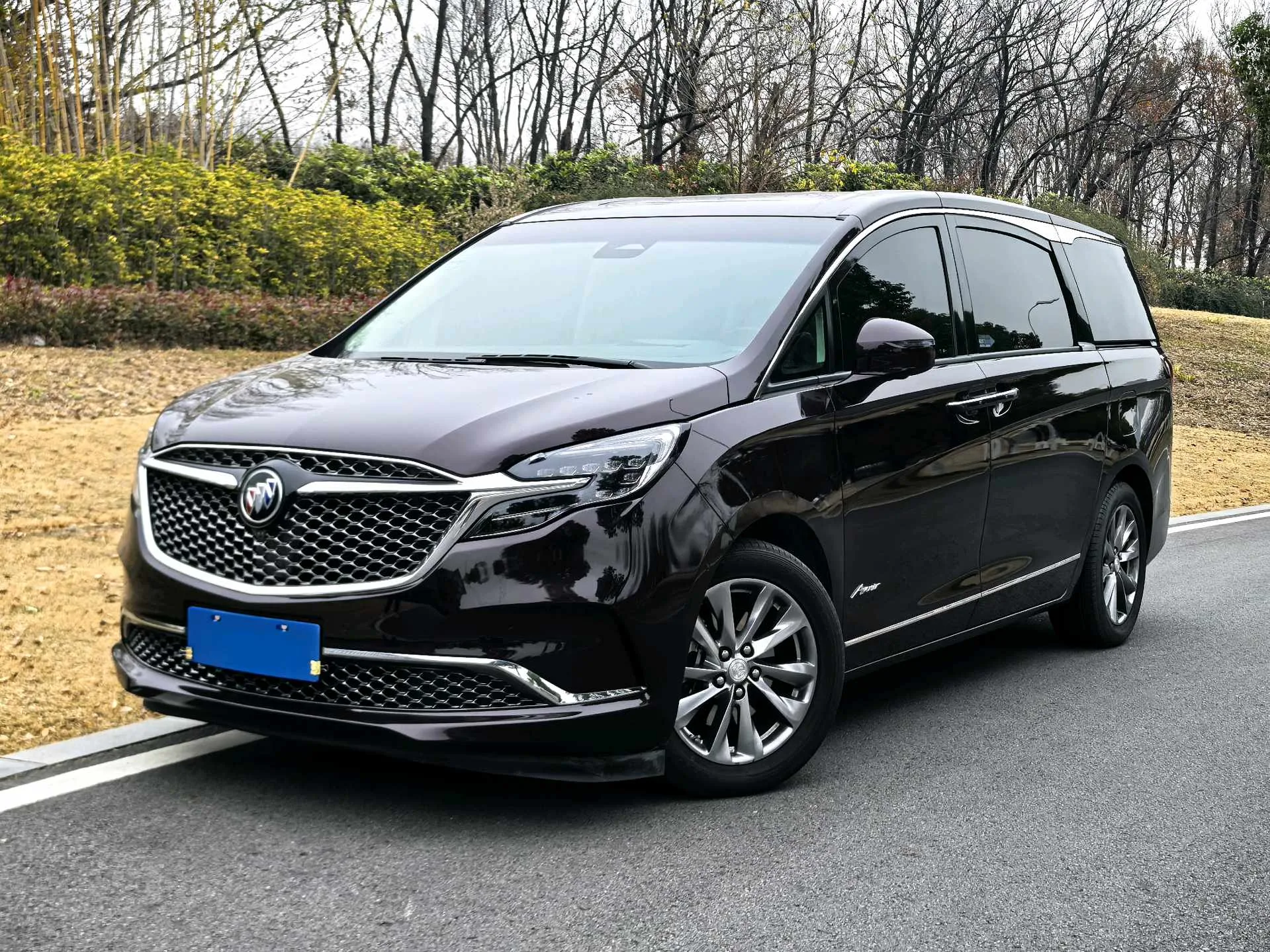 2020 Buick GL8 Avenir Six-Seater Xianli Edition