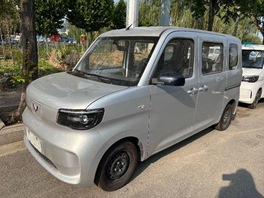Wuling Sunshine New Energy 2025 Model 201km Standard Edition