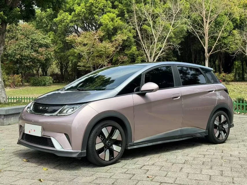 Dolphin 2021 Model 401km/h Knight Edition