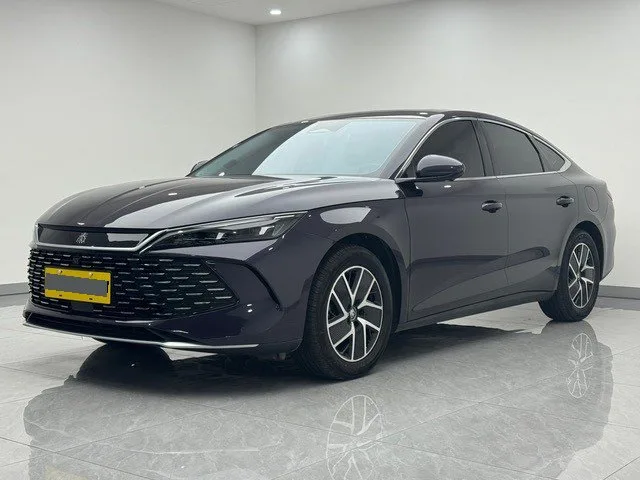 Qin L 2024 DM-i 120KM Leading Edition