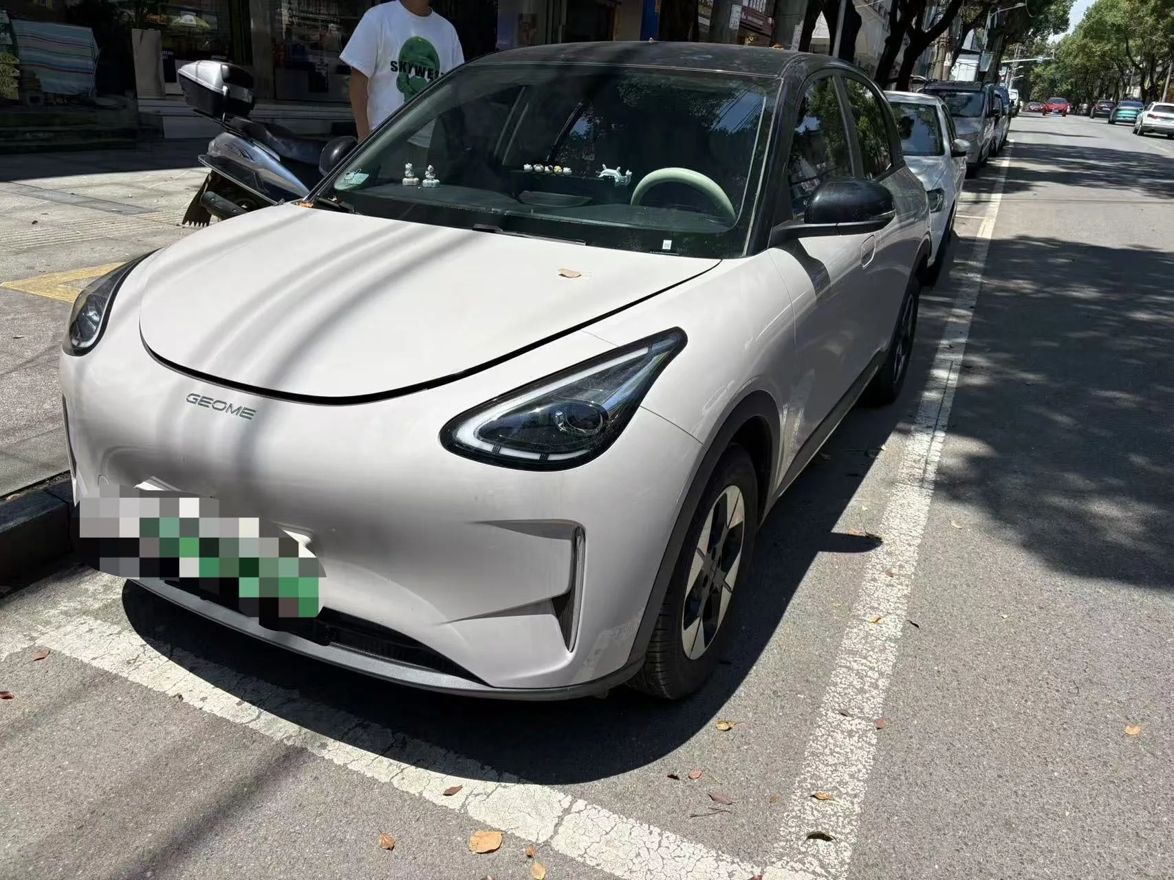 Star Wish 2025 310km Youth Edition