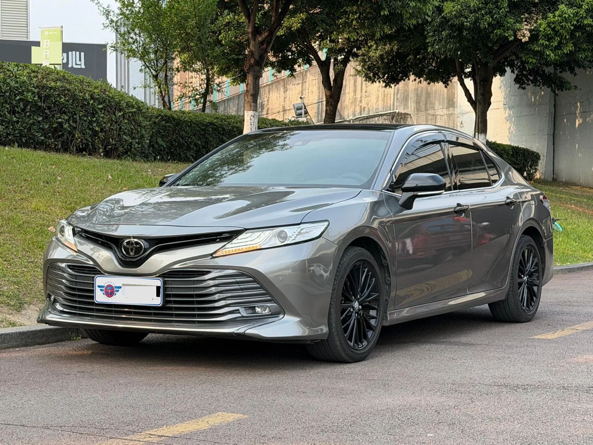2019 Camry 2.5G Luxury Edition (China V)