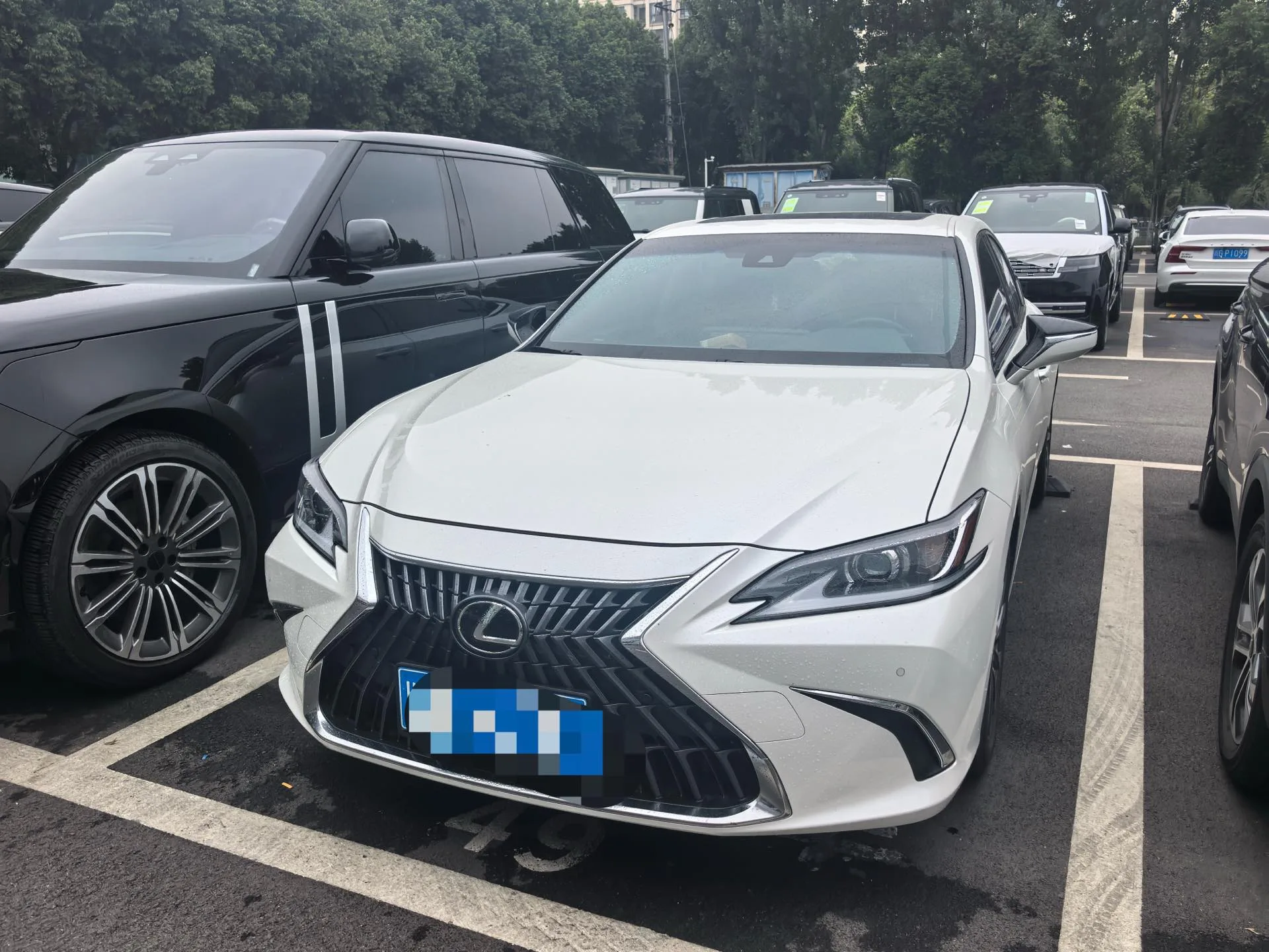 Lexus ES 2023 200 Premium Edition