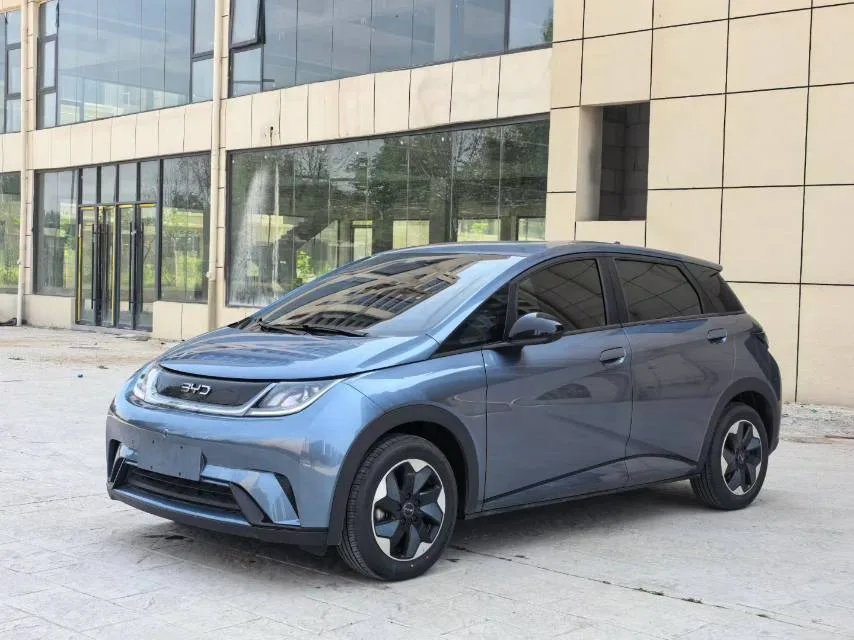 BYD 2025 Dolphin 420km Freedom Edition Automatic