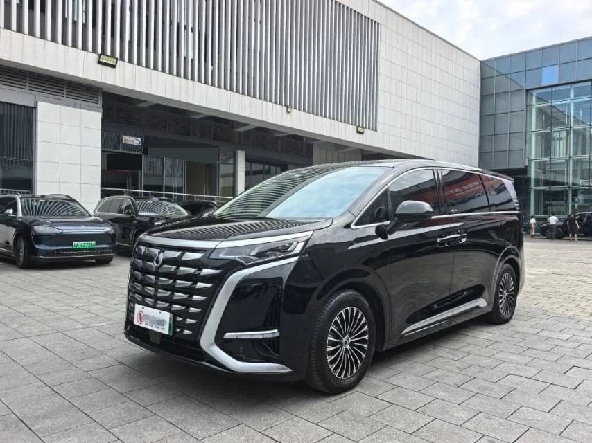 Denza D9 2024 DM-i 980 AWD Flagship