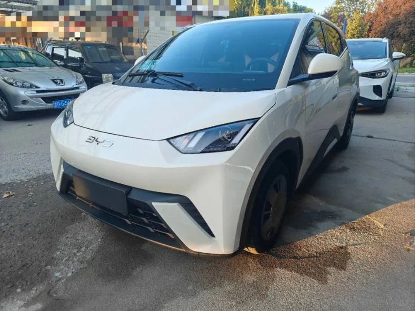 BYD 2025 Seagull 305km/h Vitality Edition Automatic