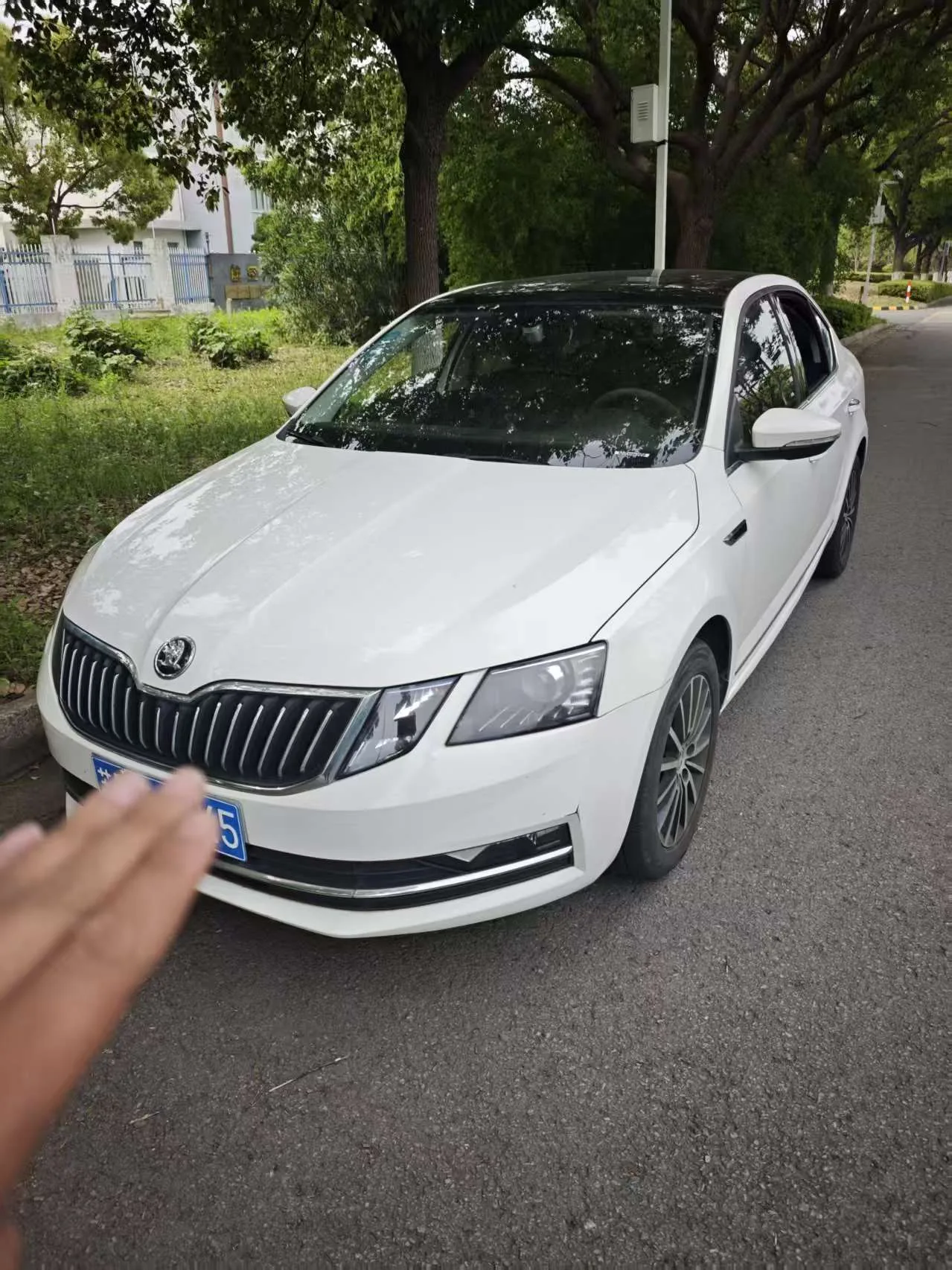 Skoda Octavia 2019 TSI230 DSG Smart Drive Luxury Edition (China V)