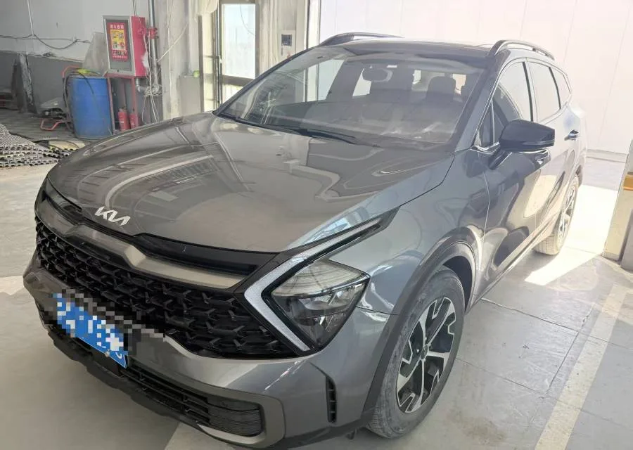 Lion Platinum Expansion 2023 1.5T 2WD Premium Edition