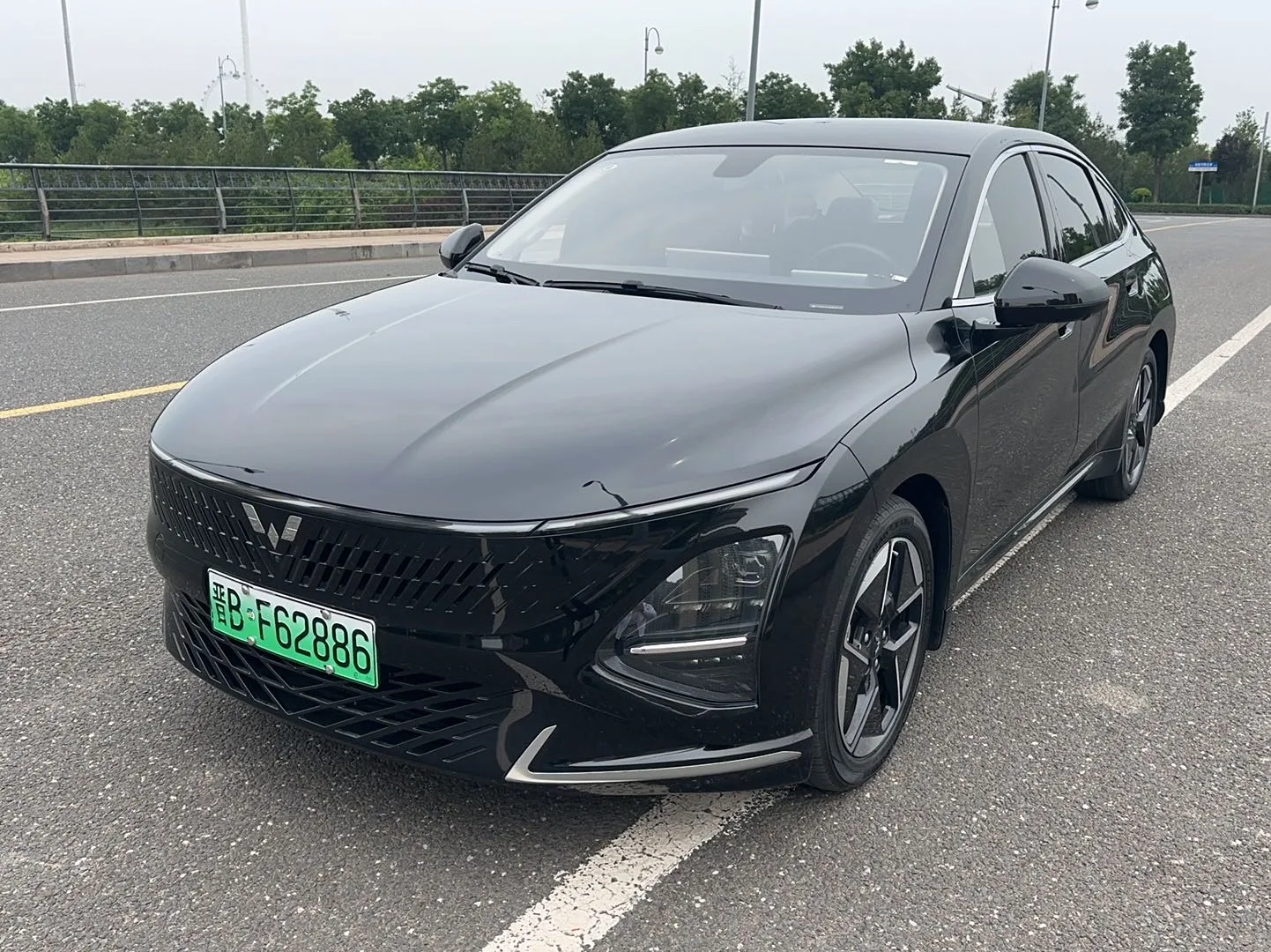 Wuling Xingguang 2024 Co-creation Edition 150 Advanced Model