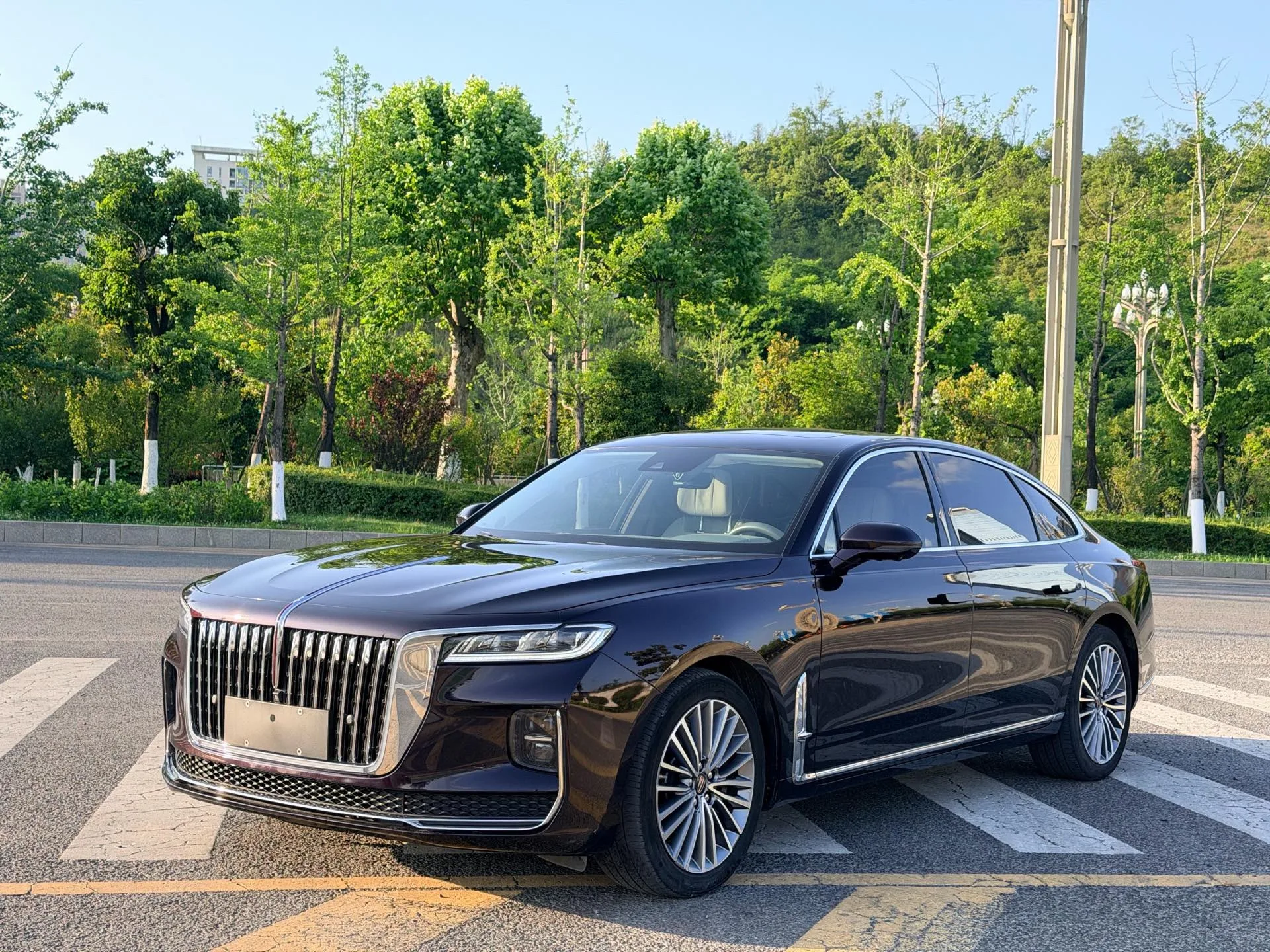 Hongqi H9 2020 2.0T Intelligent Flagship Edition