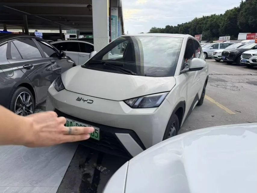 BYD 2025 Seagull 305km/h Vitality Edition Automatic
