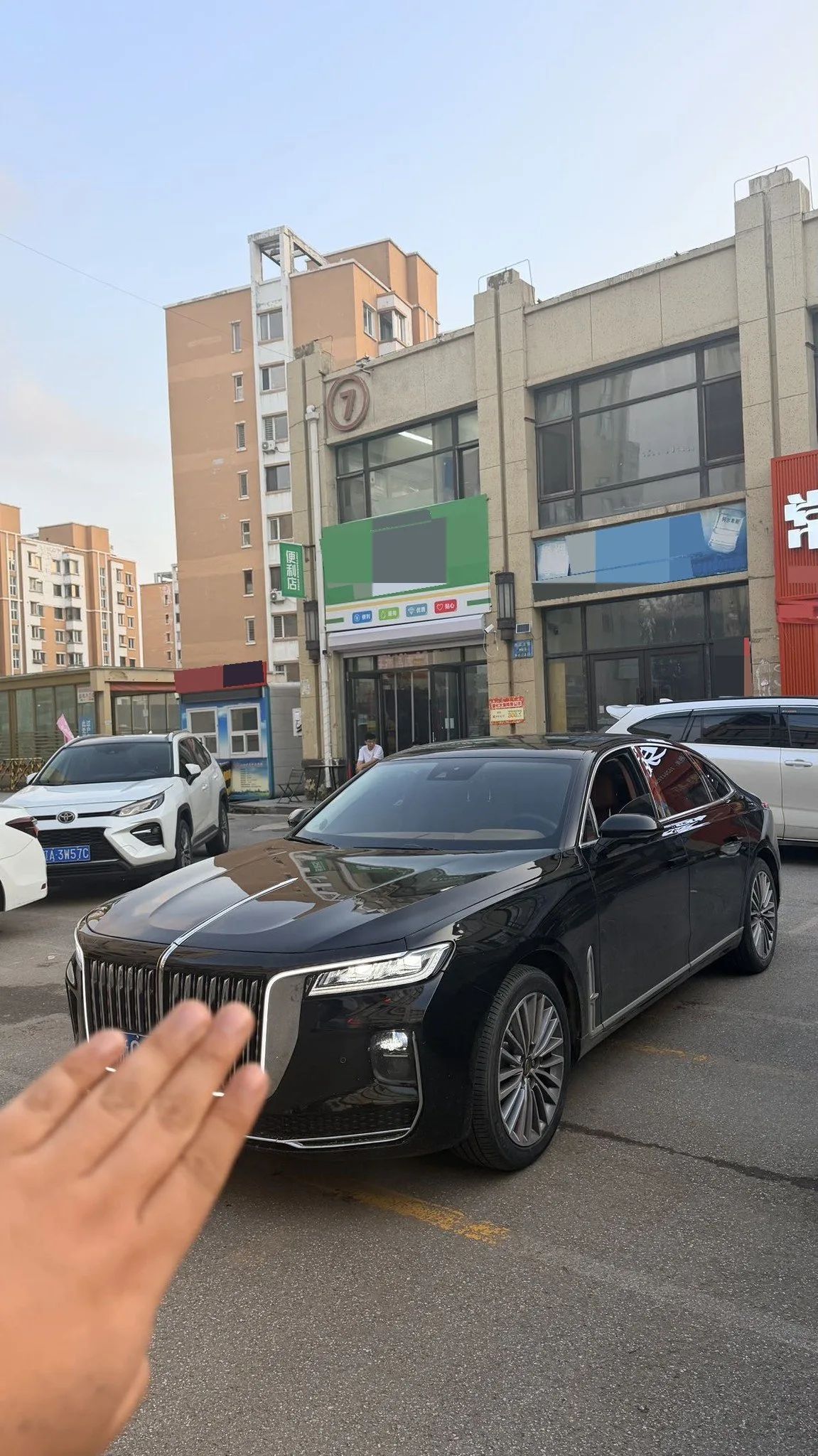 Hongqi H9 2022 2.0T Intelligent Flagship Edition
