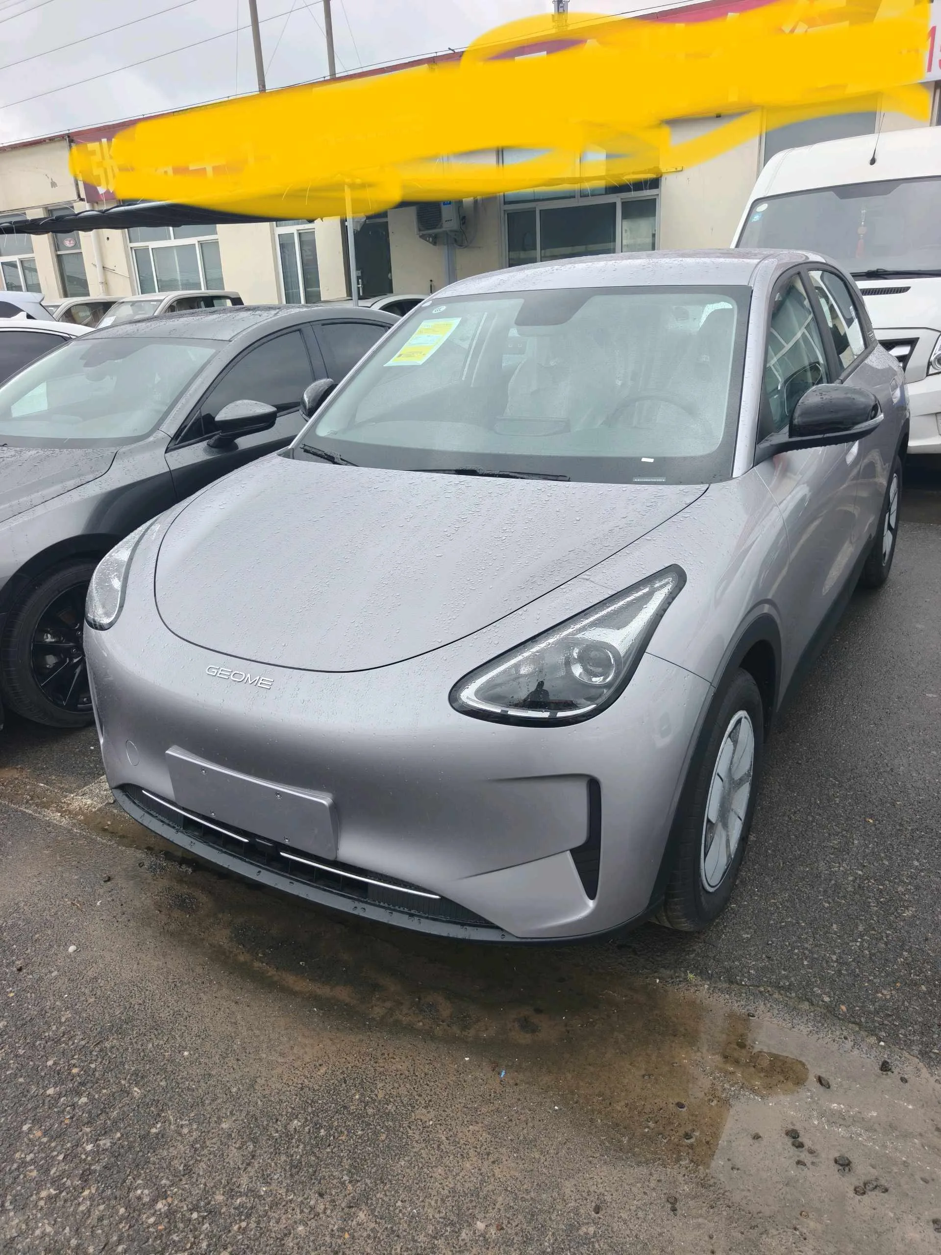 Star Wish 2026 Model 310km Youth Edition