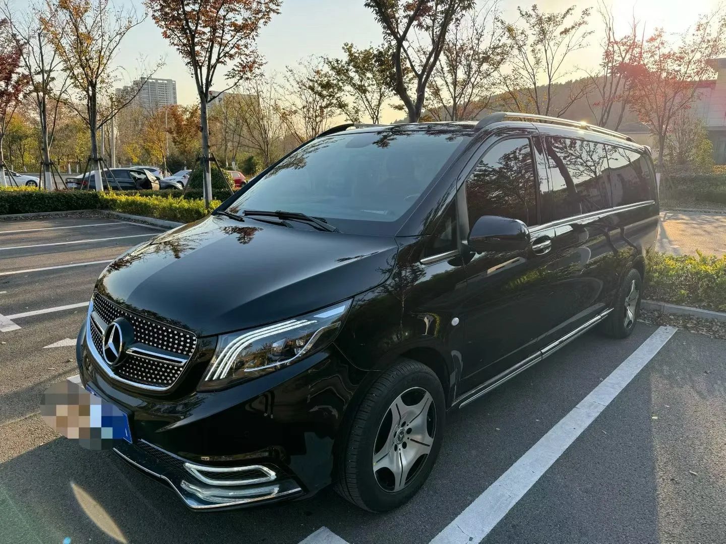 Vito 2018 2.0T Elite Edition 7-seater (China VI Emission Standard)