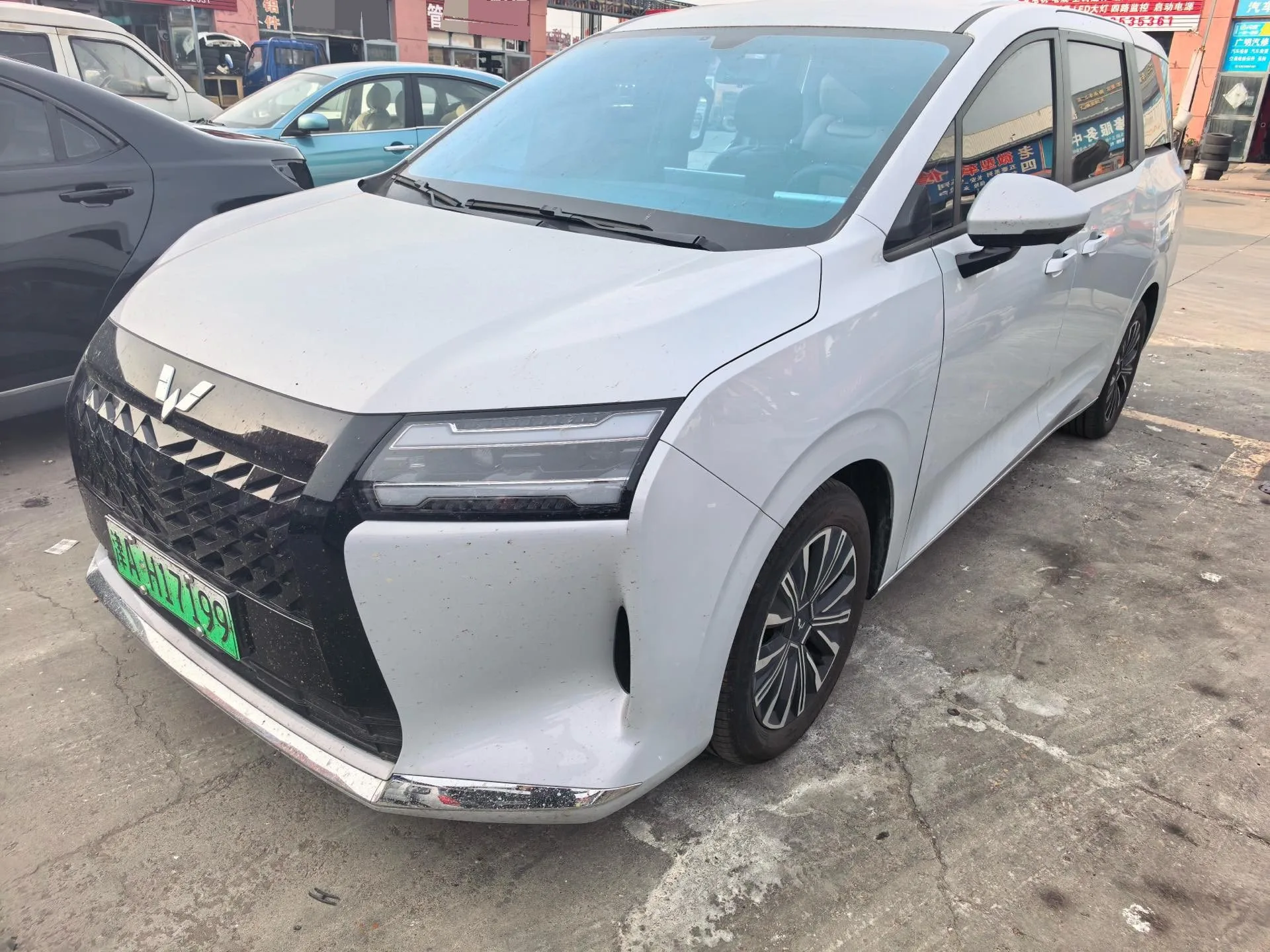 Starlight 730 New Energy 2025 Plug-in Hybrid 125km Luxury Model