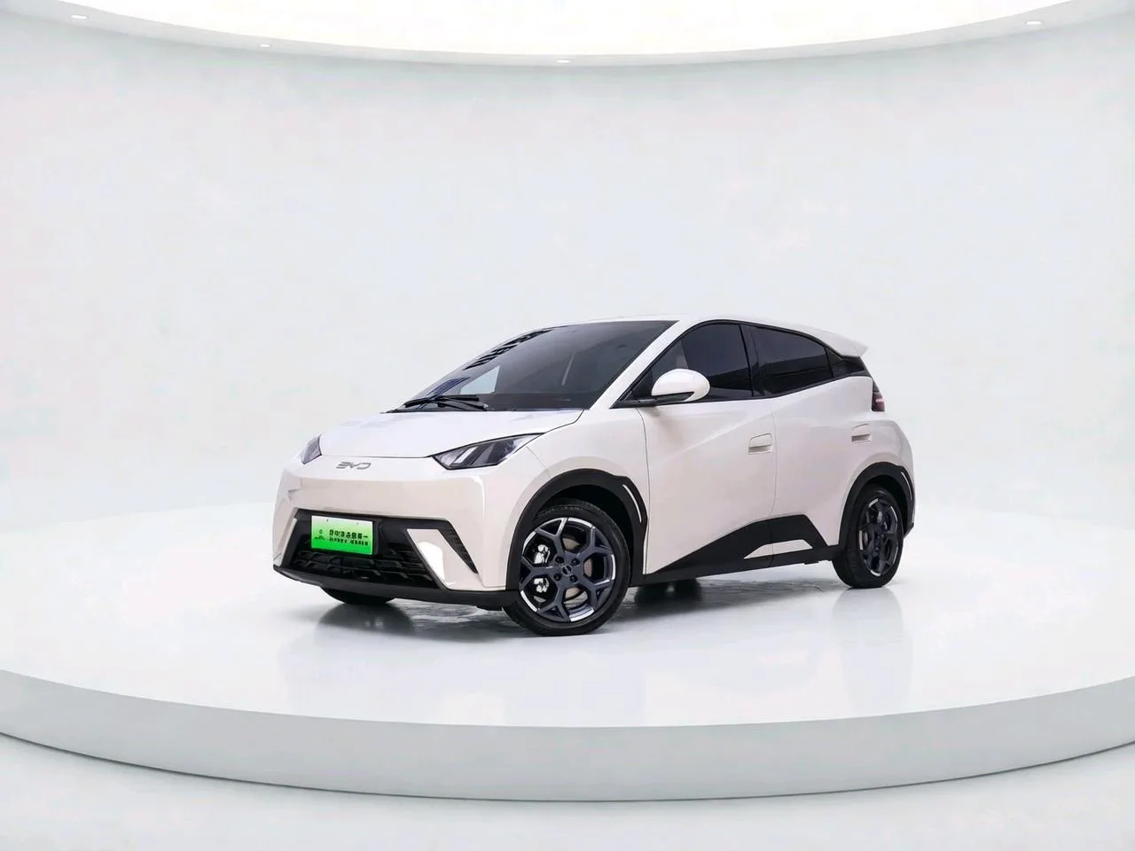 BYD 2025 Seagull Smart Driving Edition 305km Freedom Edition Automatic Transmission