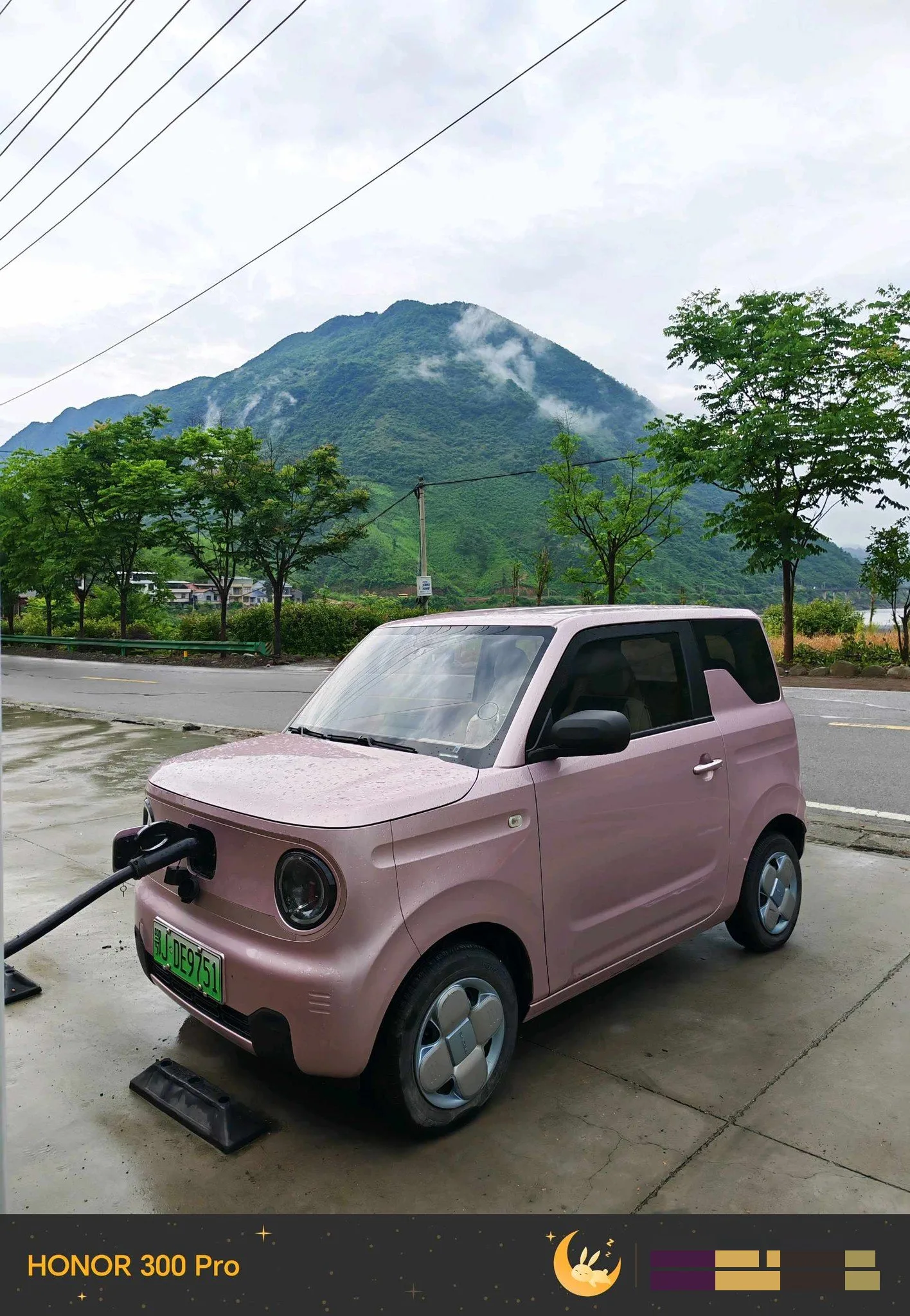Panda 2024 Panda Mini 200km Endurance Bear