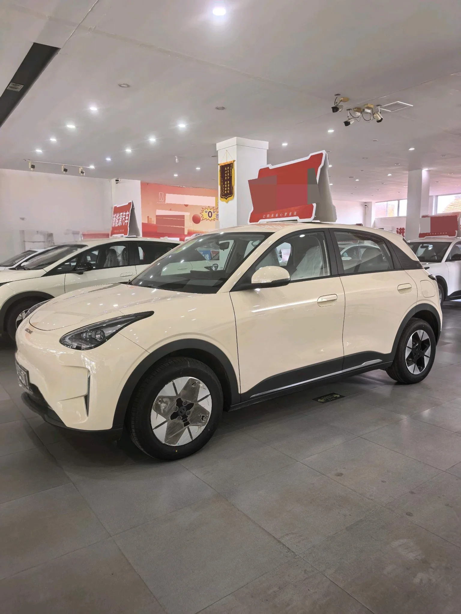 Star Wish 2025 310km Dream Edition