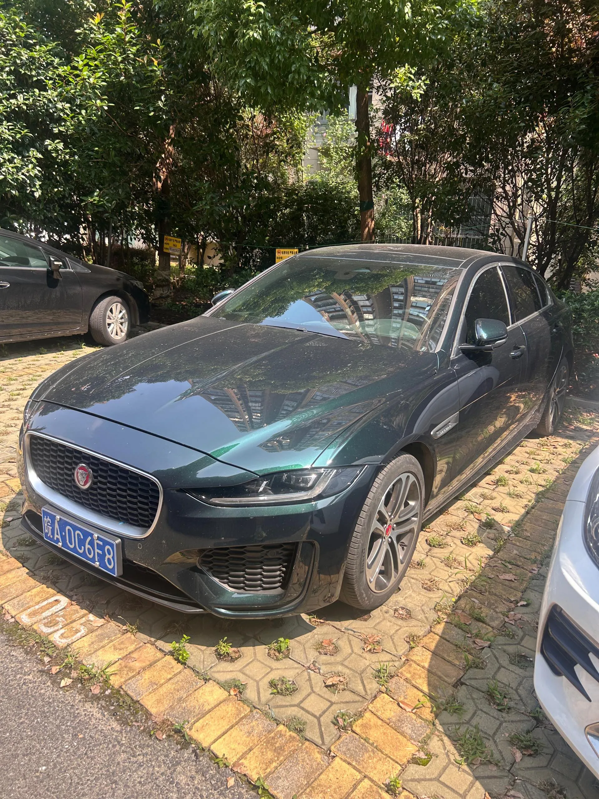 2024 Jaguar XEL 2.0T 250PS R-DYNAMIC S Black Sport Edition