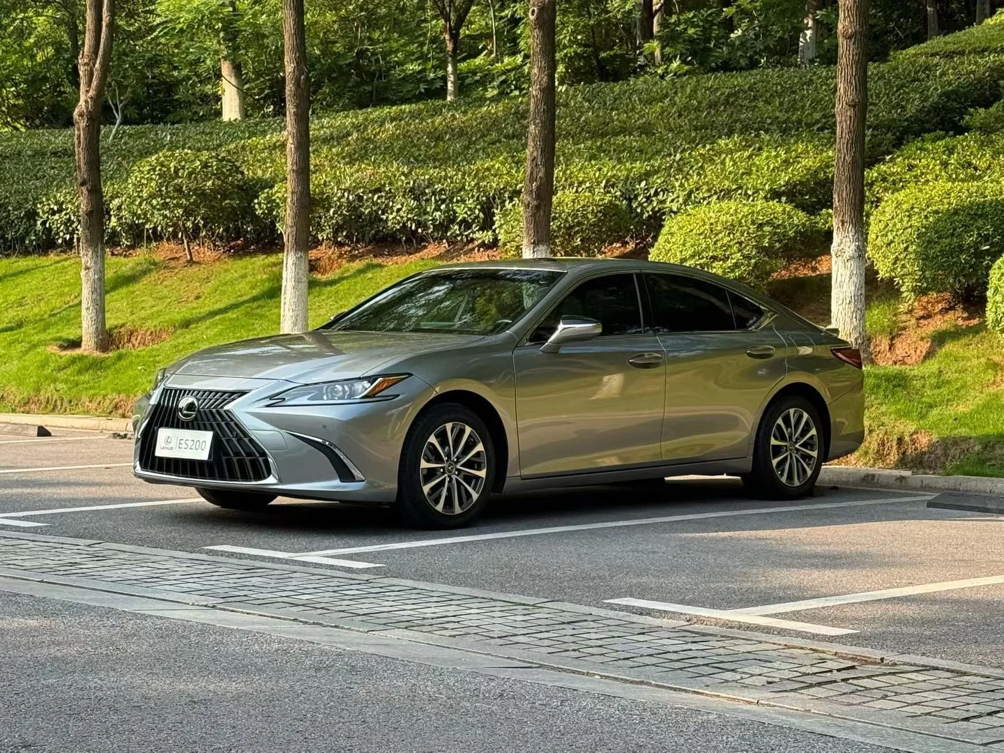 Lexus ES 2022 200 Premium Edition