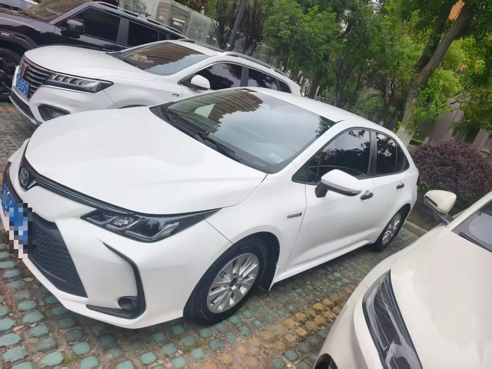 Toyota 2023 Corolla Hybrid 1.8 CVT Intelligent Electric Hybrid Pioneer Edition Automatic Transmission