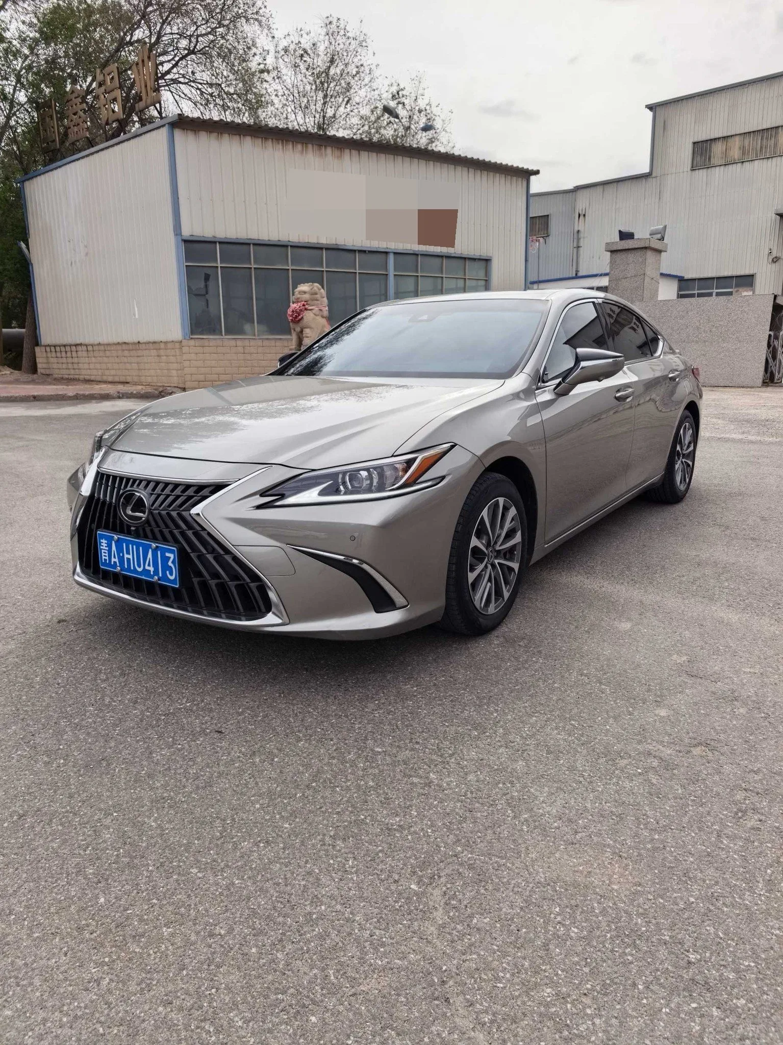 Lexus ES 2023 260 Premium Edition
