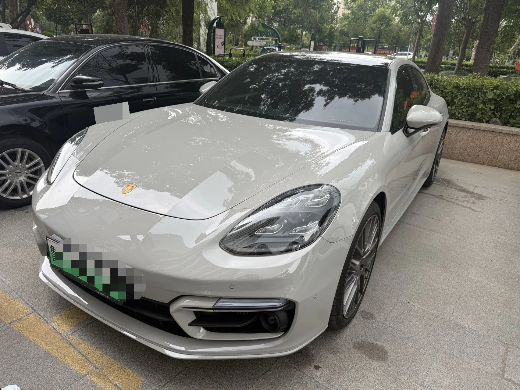 Panamera New Energy 2023 Panamera 4 E-Hybrid Platinum Edition 2.9T