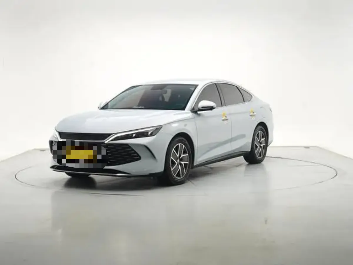 Qin L 2024 DM-i 80KM Transcend Edition