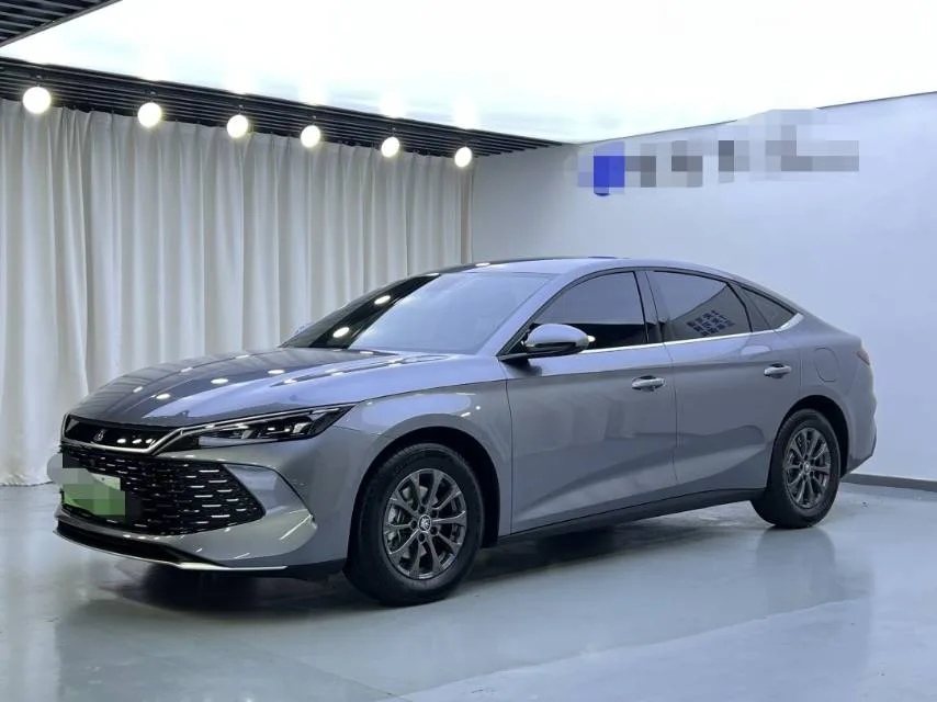 Qin L 2024 DM-i 80KM Leading Edition