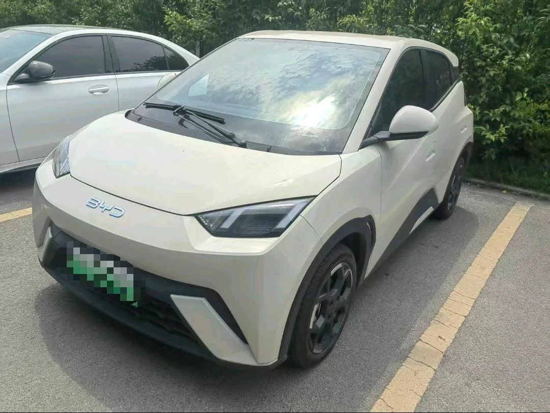 BYD 2024 Seagull Glory Edition 405km/h Flying Edition Automatic Transmission