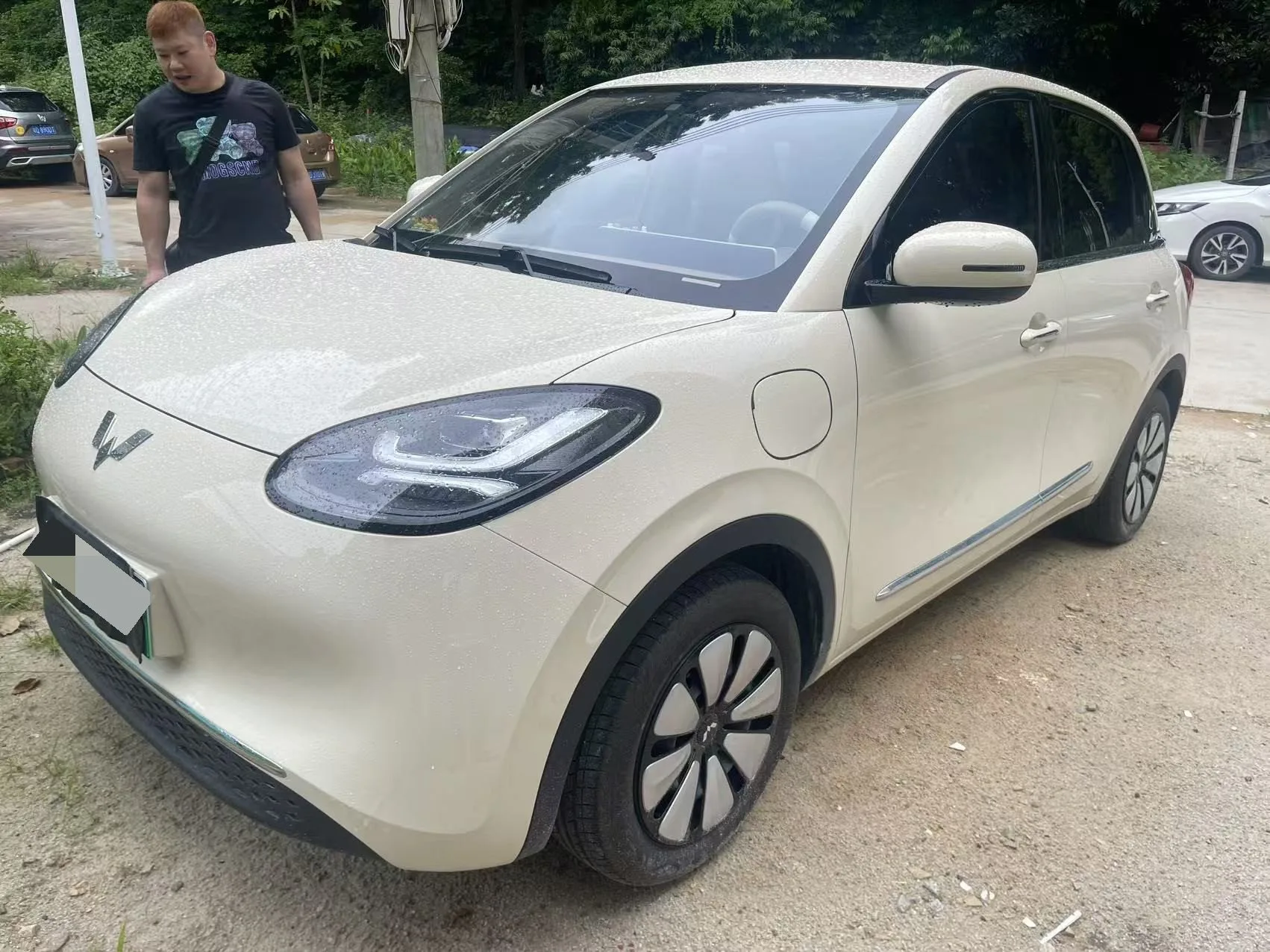 Wuling 2025 Bingo 333km Smart Connect Edition Automatic