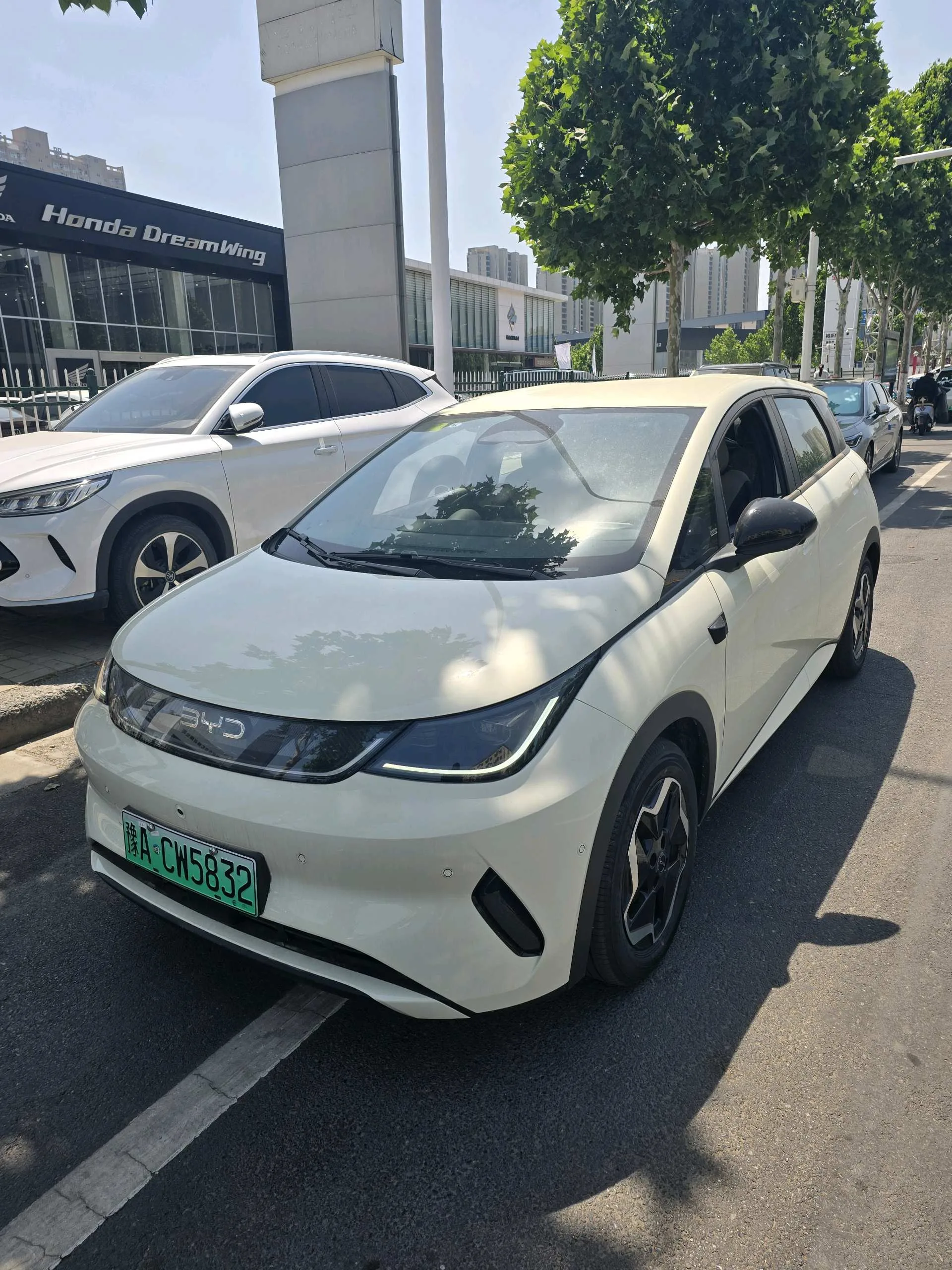 BYD 2025 Dolphin Smart Driving Edition 420km Freedom Edition Automatic Transmission