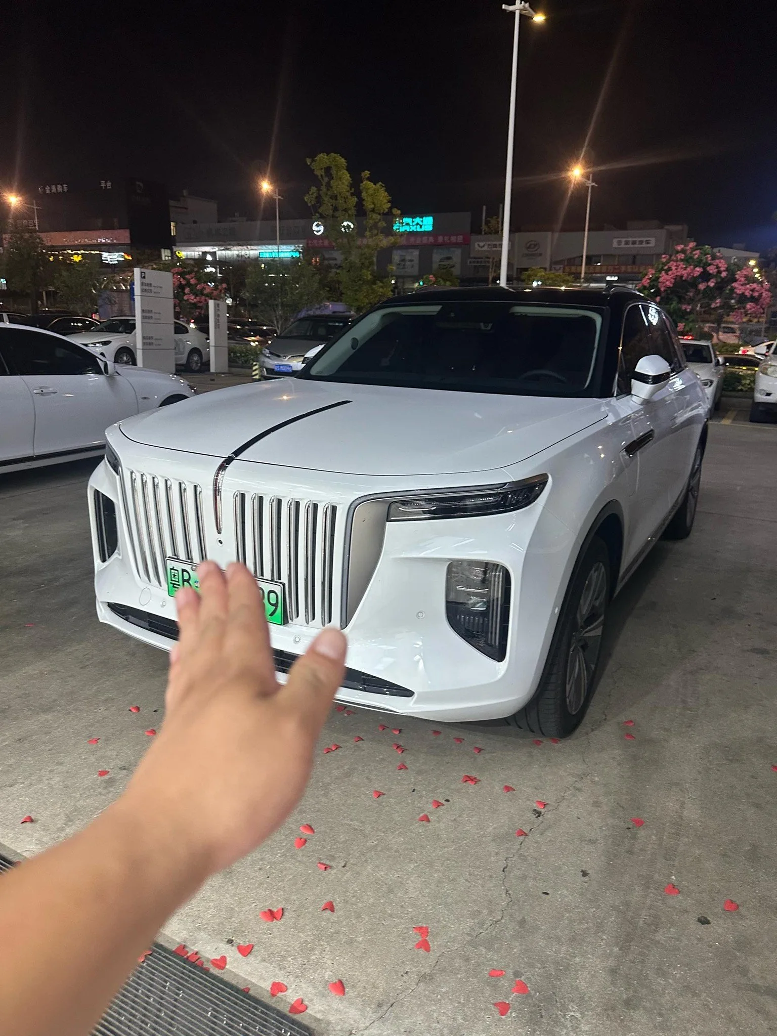 Hongqi E-HS9 2022 Model 690km Flagship Edition (Six Seats)