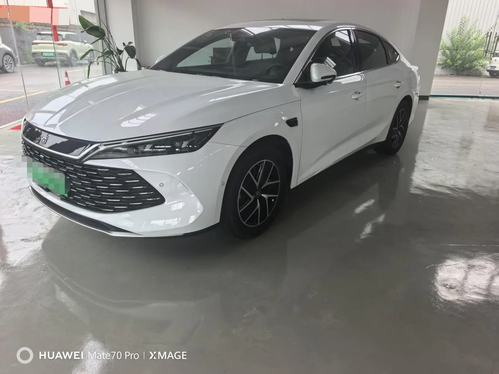 Qin L 2024 DM-i 120KM Super Edition