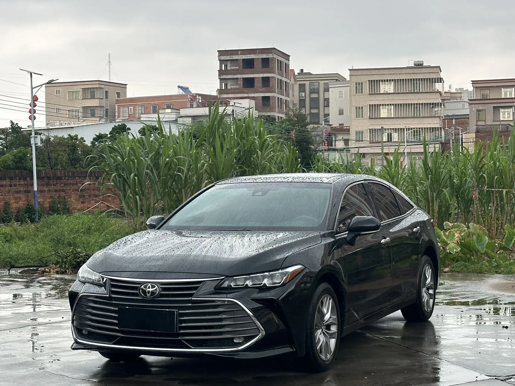2019 Toyota Avalon 2.0L Luxury Edition (China VI Emission Standard)