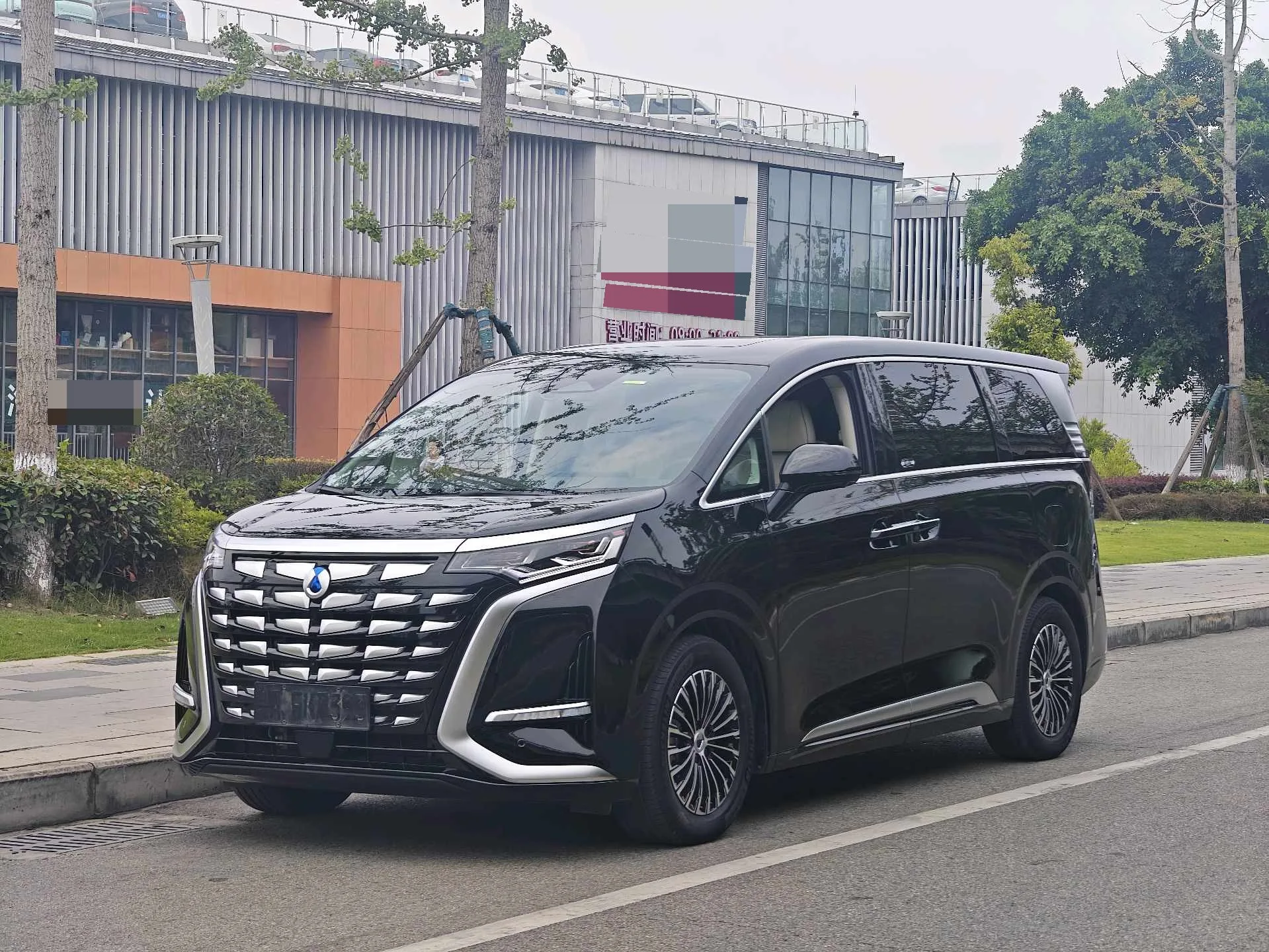 Denza D9 2024 DM-i 1050 Premium Edition