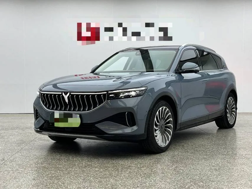 2021 Lynk & Co FREE AWD Pure Electric Launch Commemorative Edition Exclusive Luxury Package