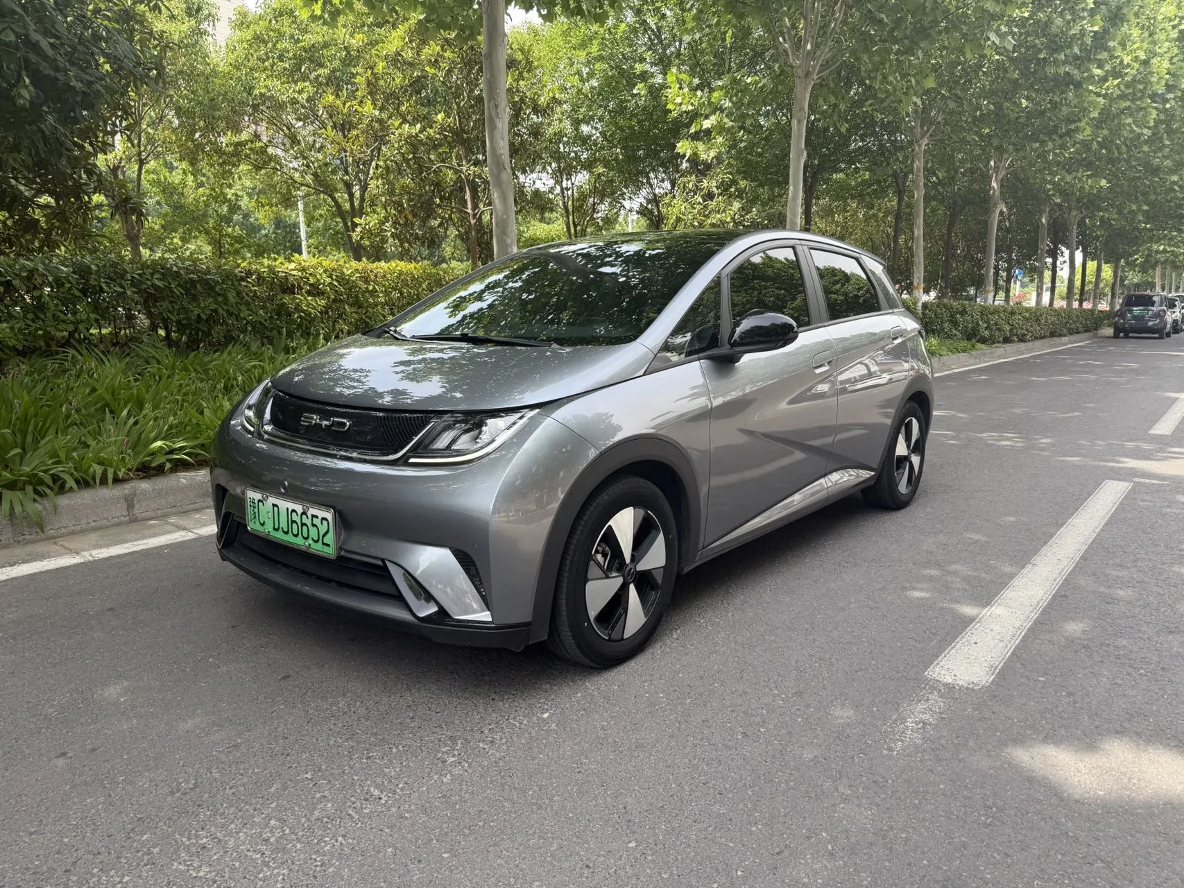 BYD 2023 Dolphin 420km Fashion Edition Automatic
