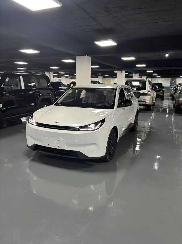ARCFOX 2026 T1 425 Touring Automatic