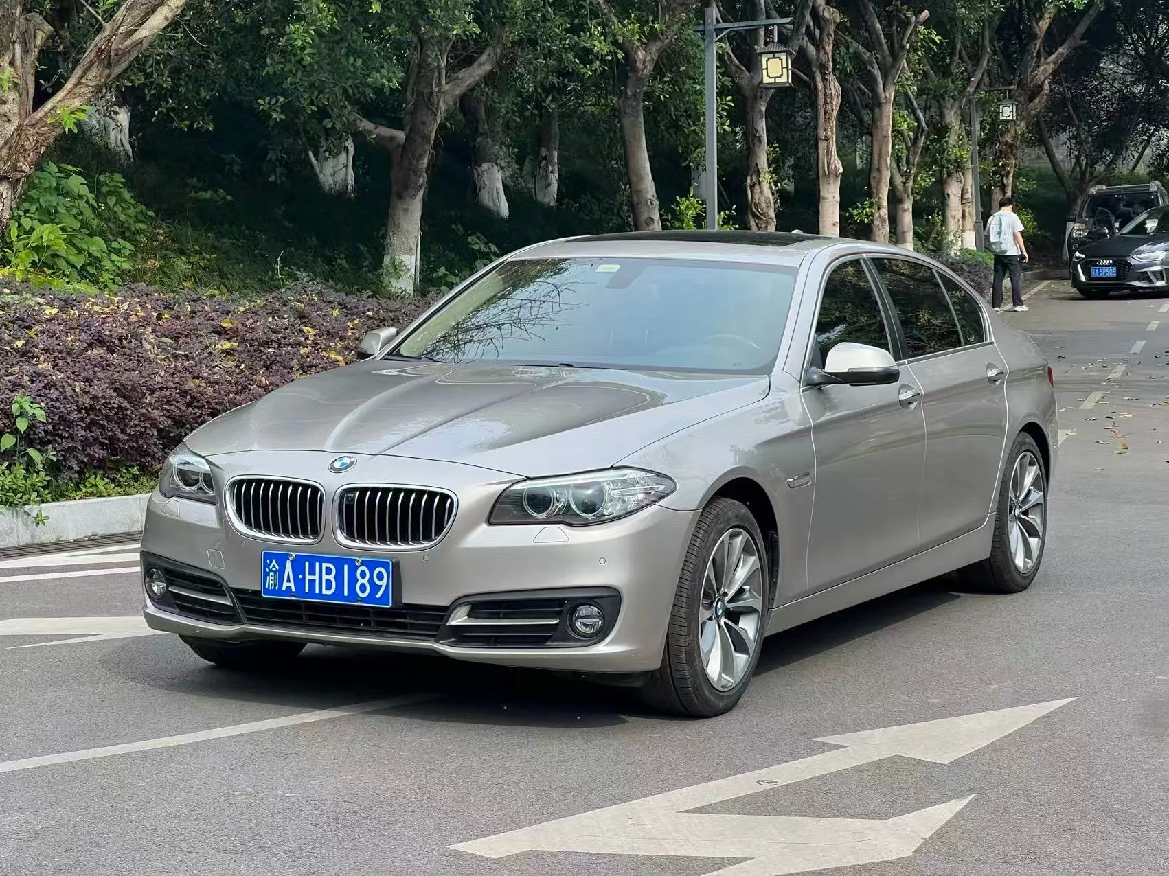 2017 BMW 5 Series 525Li Luxury Design Package