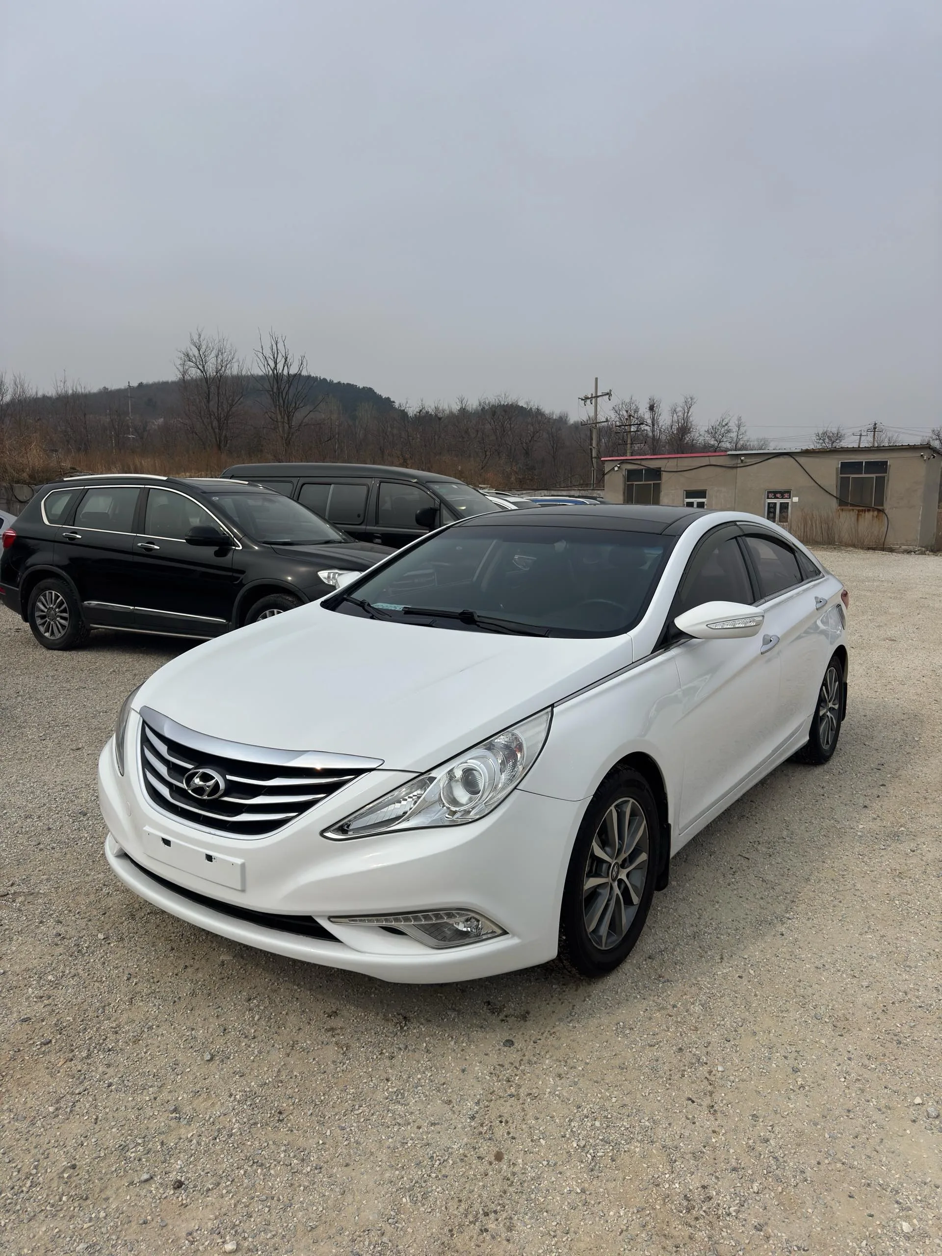 2013 Sonata 2.0L Automatic Luxury Edition