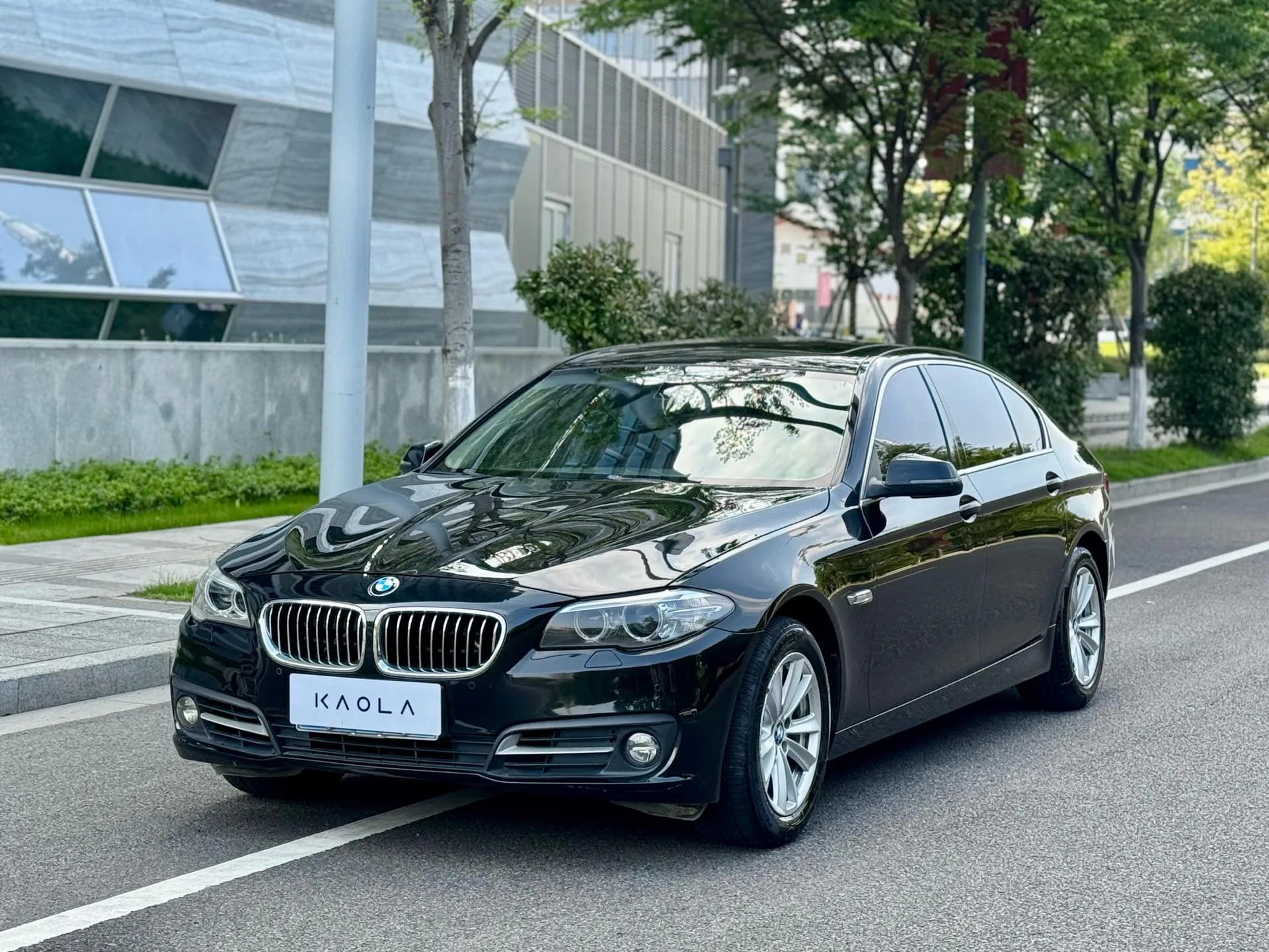 2014 BMW 5 Series 520Li Elegant Edition