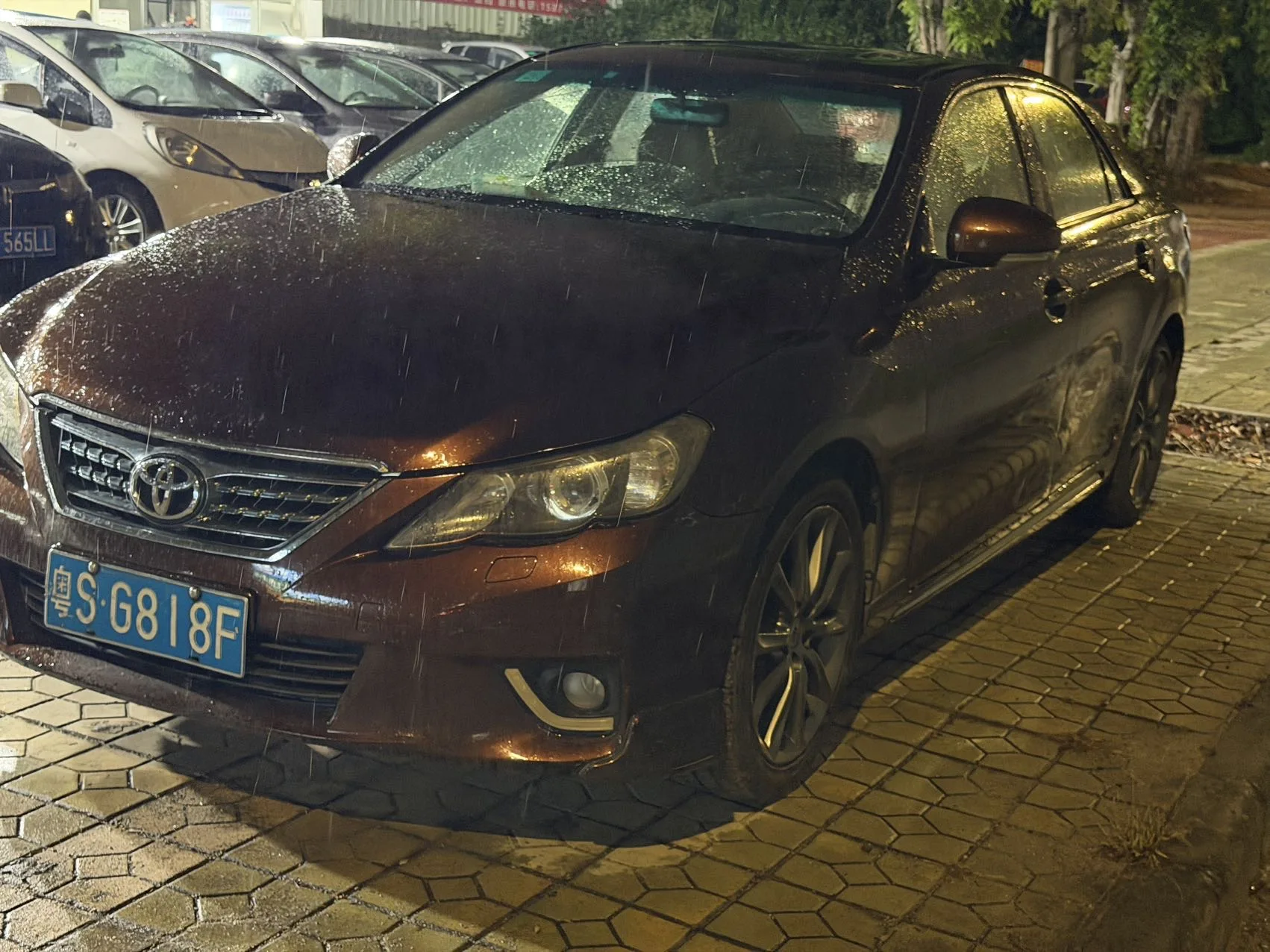 Reiz 2010 2.5V Fengdu Elite Edition